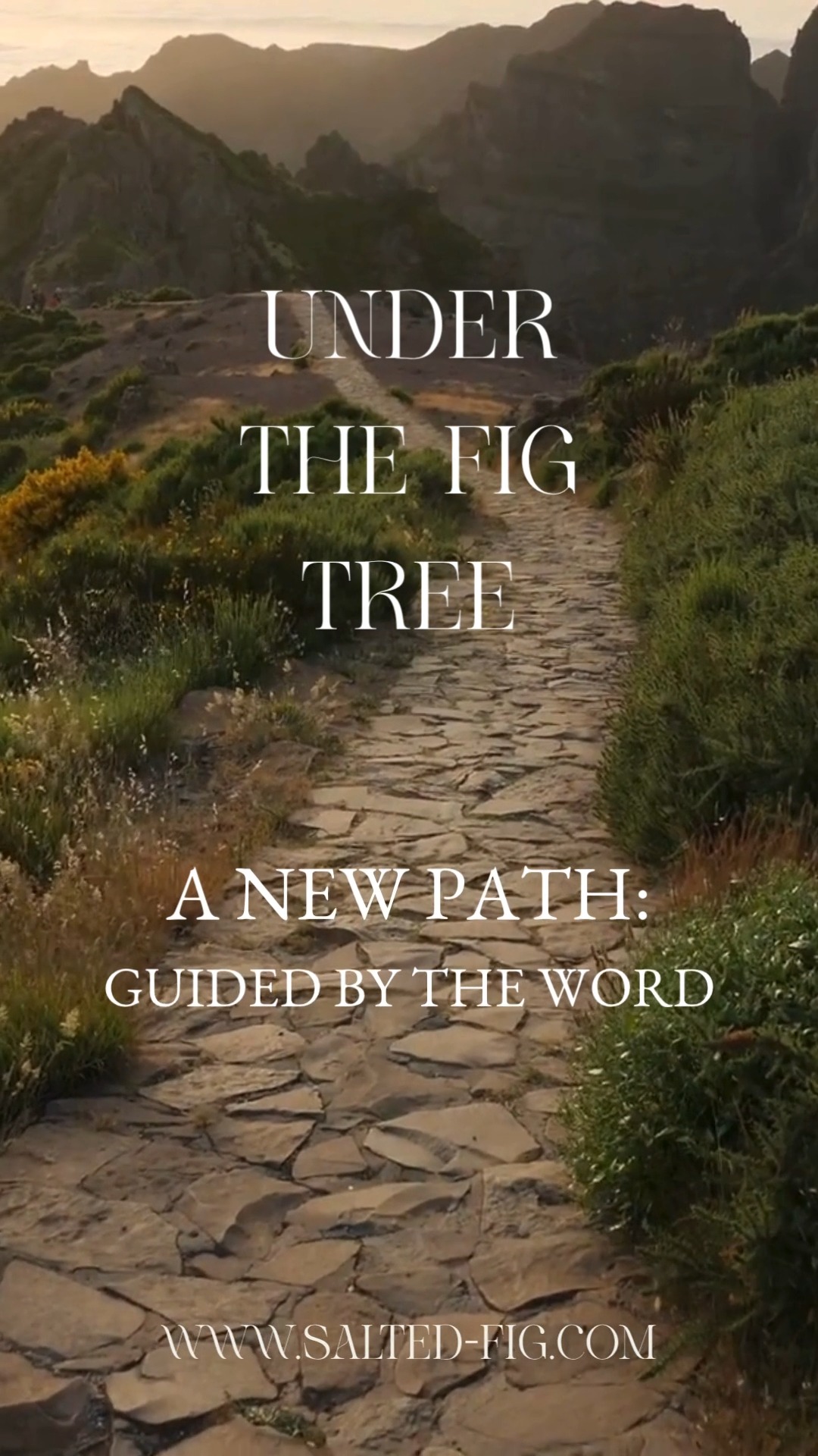 “Your word is a lamp to my feet and a light to my path.” (Psalm 119:105)
Now, Under the Fig Tree: https://wix.to/eW0LmGk
In a world filled with noise and endless directions, Scripture gives us a steady compass. Salted Fig was created to carry those reminders into everyday life—through designs rooted in God’s Word, subtle symbols, and truths you can wear.
Not just fashion. A way of keeping your steps guided, your heart centered, and your witness visible.
Explore the collection and carry His direction with you.
#SaltedFig #FaithRooted #BiblicalDirection #ChristianApparel #SaltAndLight