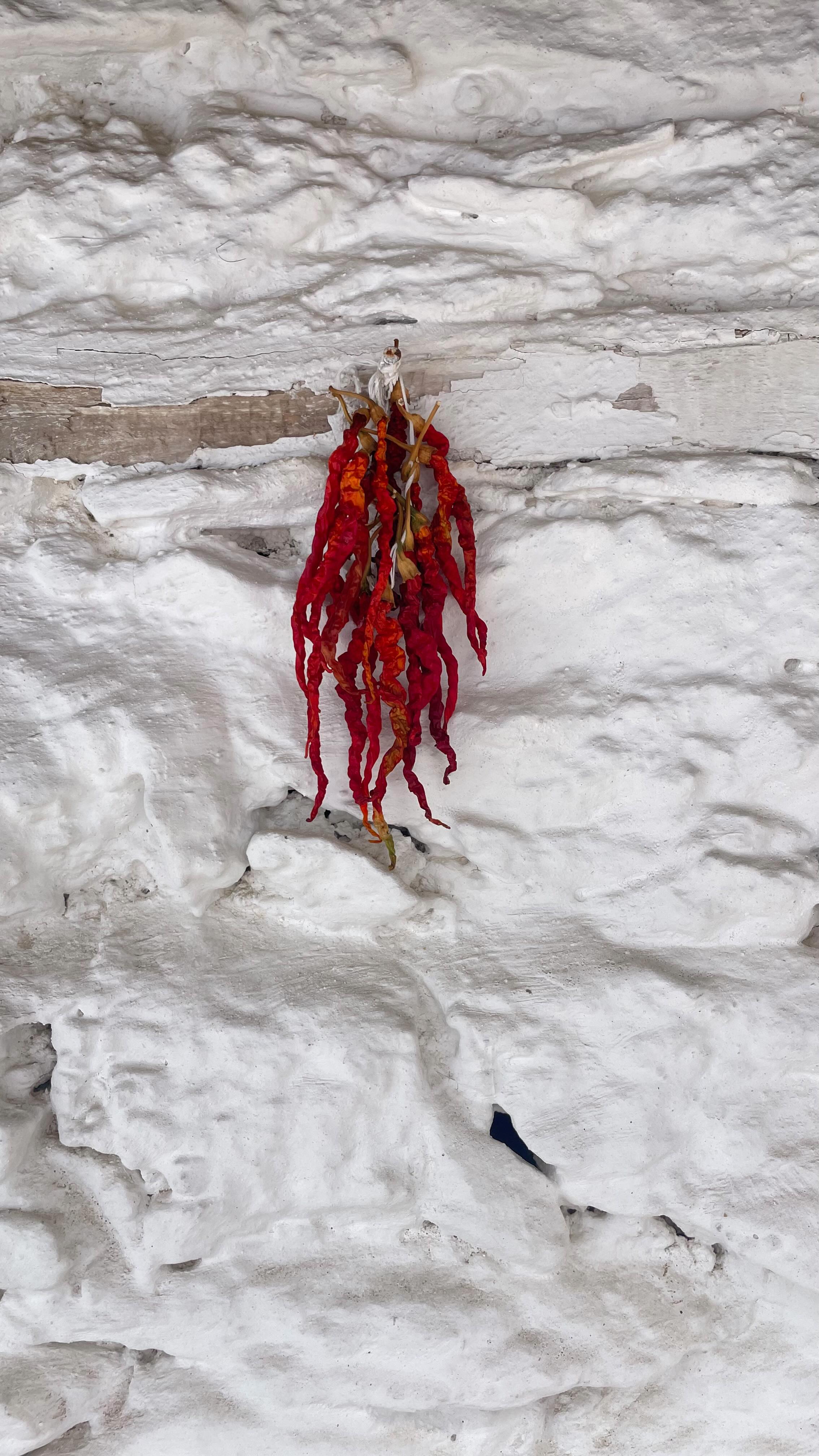 Here is where FineGrid was born.
A small village resting on the highlands of western Turkey.
Where time slows down,
and people live in rhythm with the land.
Where every day begins and ends in harmony.
🌿 #FineGridJourney #LifeInBalance #SlowMade #handwoventextiles #slowliving #NatureInspires #CraftedWithCare