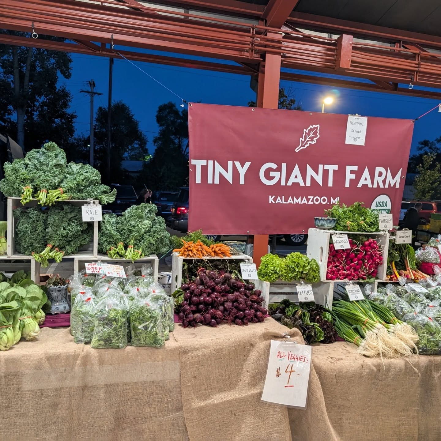 It's Ben's birthday today! And it's market day.... Buy his veggies as a present for you!