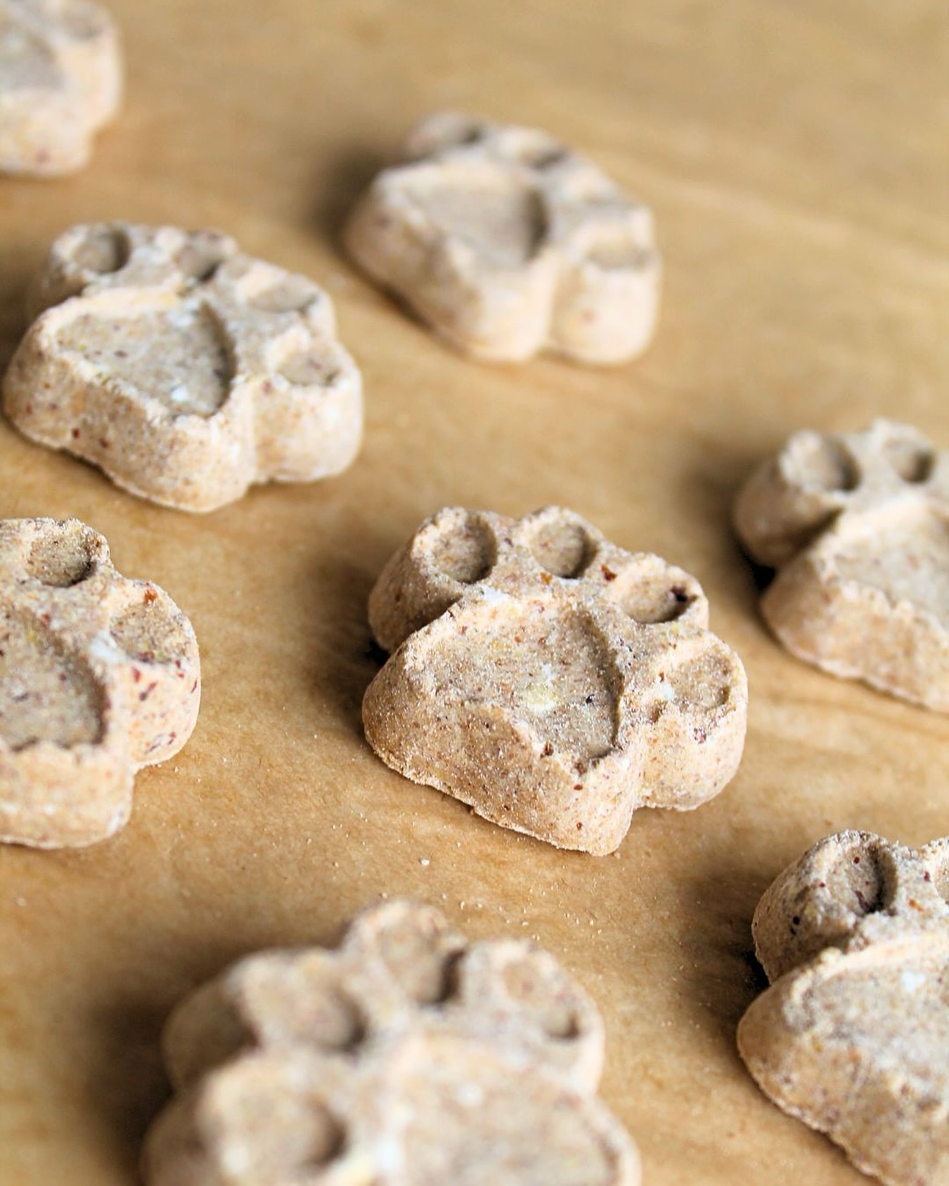 Trick FOR treat?? 👻🎃
Sweet Potato Paws are one of our most drool worthy seasonal products yet!
#SweetPotatoPaws #FallForDogs #TrickForTreat #PumpkinSeasonVibes #DogHalloweenTreats
#WholesomeDogSnacks #HappyTails #SeasonalTreats #PupParents #SpoilYourDog