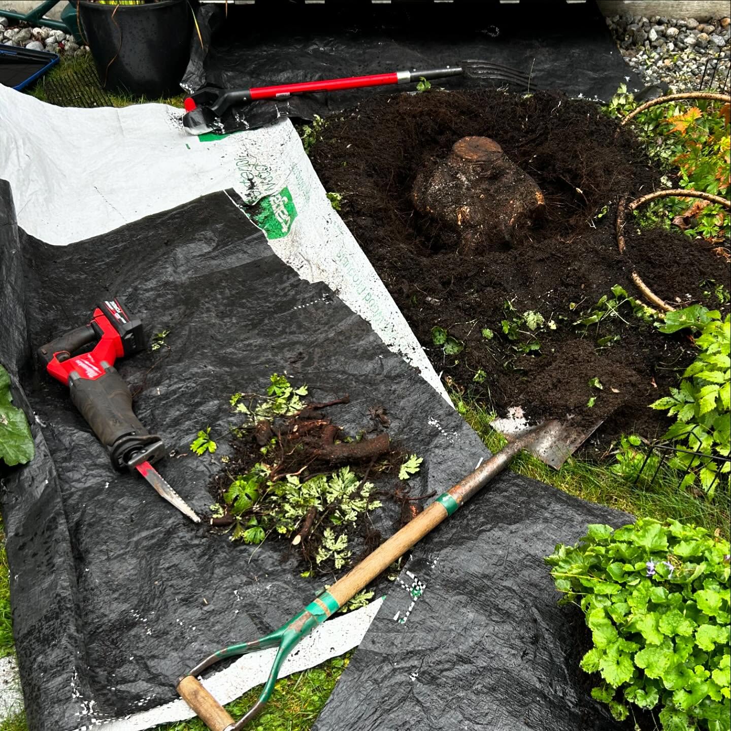 Maiden voyage of the Sawzall was a surgical removal of a deceptively large maple stump—attempted but not completed. I’m going back in with a more aggressive blade. #diablo