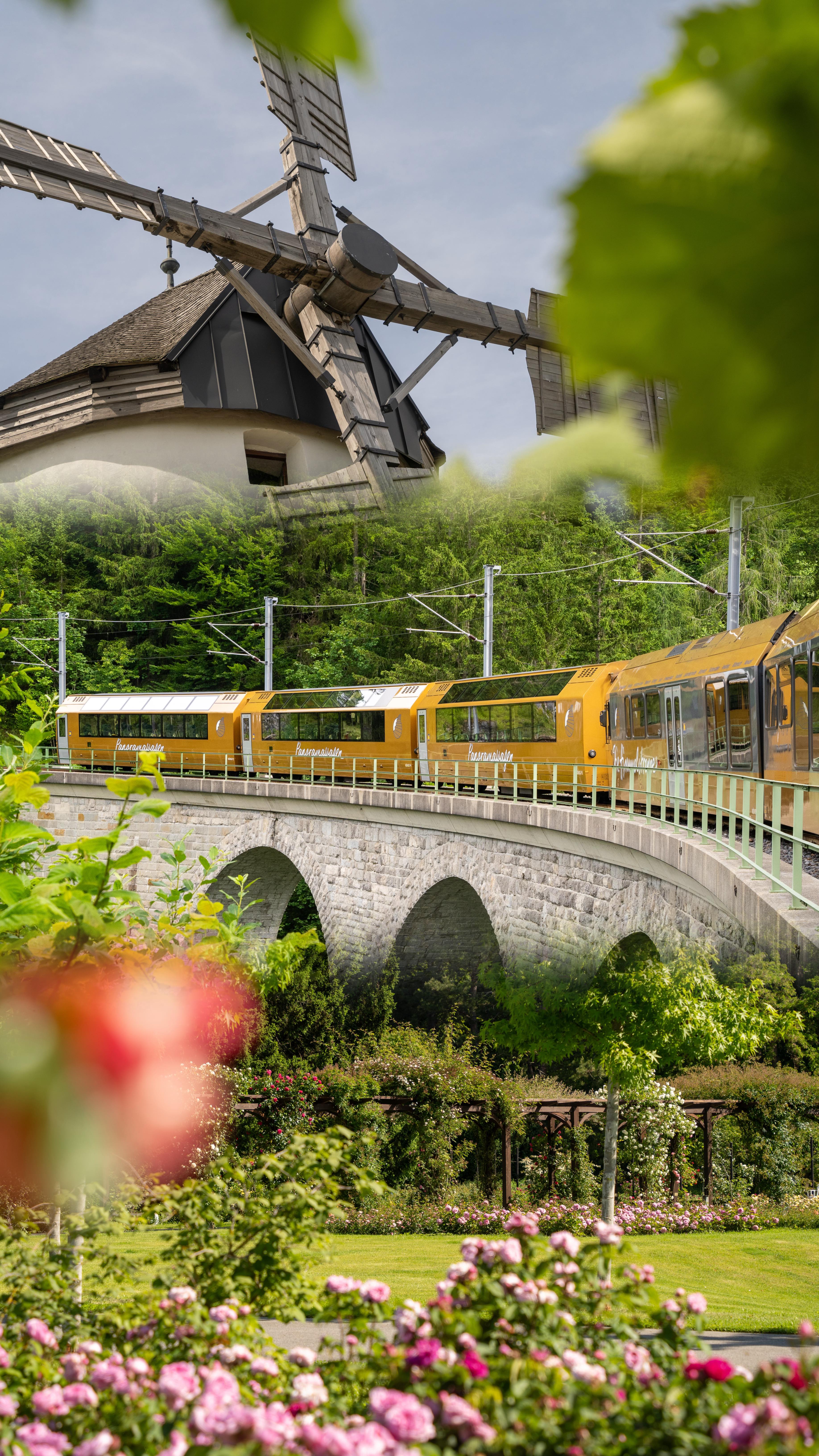 9 P 9 S 😍 Welcher ist der schönste Platz Niederösterreichs? Welchen sollen @missymayofficial und ich mitnehmen zur diesjährigen „9 Plätze - 9 Schätze“-Show?
.
.
Das Voting läuft bis 1. Oktober, 23.59 Uhr. 📞
👉 Retzer Windmühle: 0901 05 909 19
👉 Mariazellerbahn: 0901 05 909 20
👉 Rosarium Baden: 0901 05 909 21
0,50€ pro Anruf/SMS
.
.
.
#9plätze9schätze #orf2 #orf