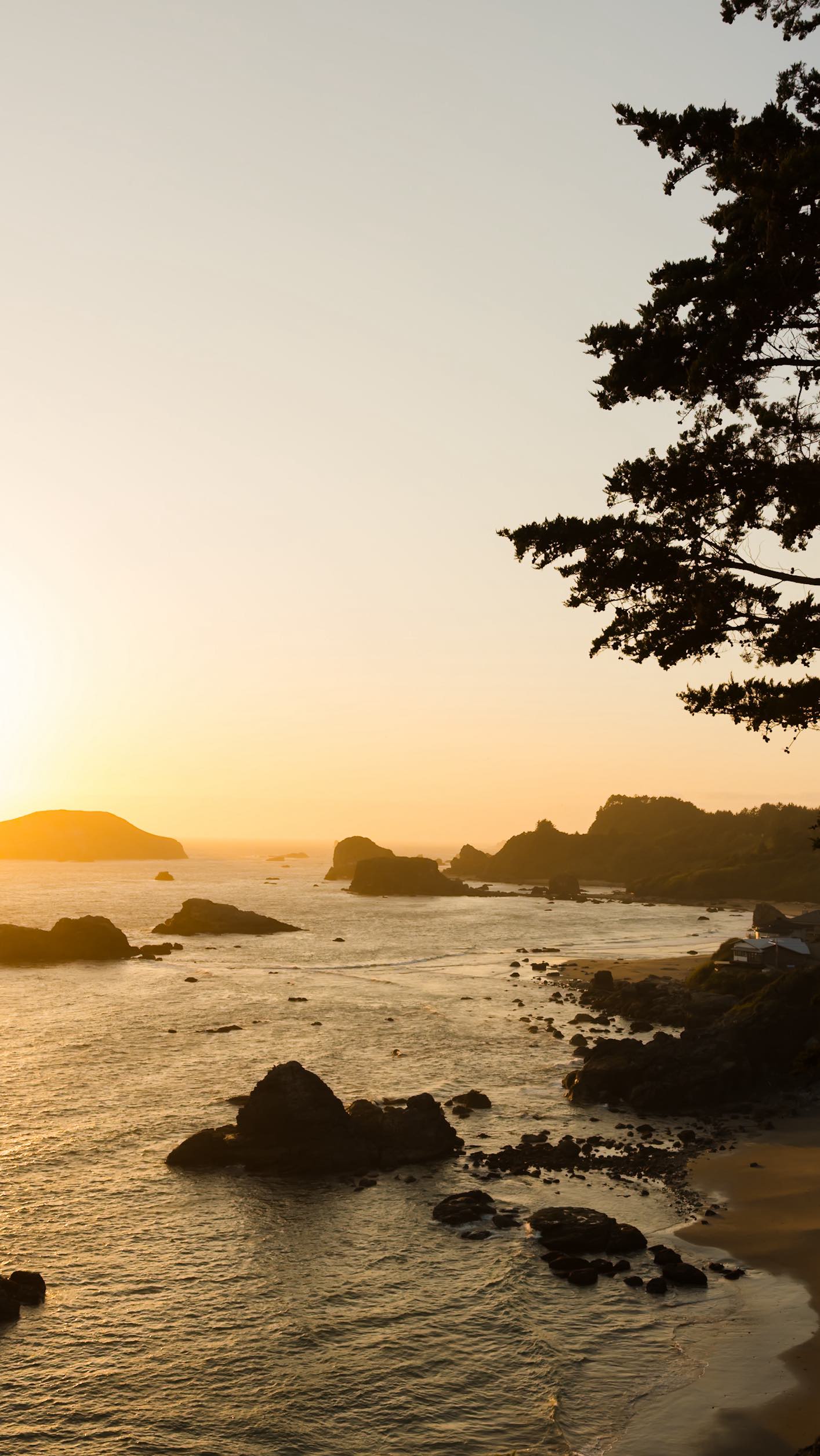 Brookings, Oregon Coast Elopement 🌊
Cheyene & Tuimana
Highlight Film
Chey and Tui’s connection is unmistakable, captured in every frame and every moment. The waves crashed, the sun set, and their love stole the show.
.
.
.
#oregoncoast #oregonweddingphotographer #oregonweddingvideographer #oregonweddingvideo #oregonelopement #oregonelopementphotographer #oregonelopementvideographer #oregonelopementvideo #oregoncoastelopement #brookingselopement #goldbeachelopement #goldbeachoregon #brookingsoregon #oregoncoastwedding #brookingswedding #samuelhboardman #samuelhboardmanstatesceniccorridor
