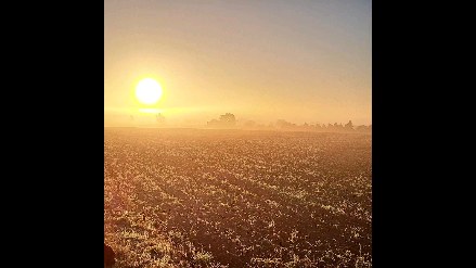 WOW...A beautiful start to a crazy couple of weeks of travels and adventures.
#norfolkskies
#dogwalkers
#sunrise