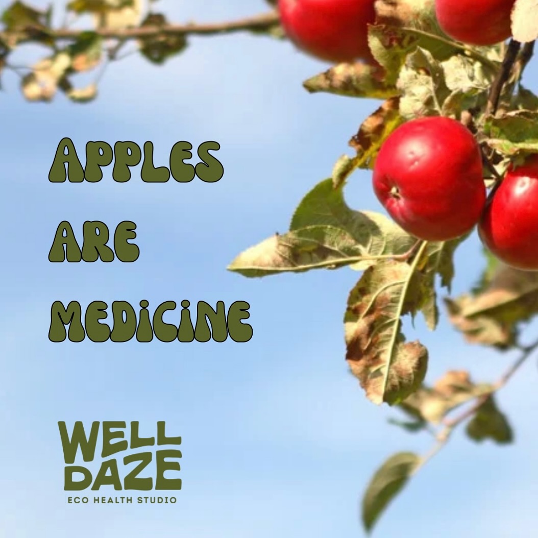 We all know food is medicine - But did you know how you prepare it can affect how beneficial it is?!
In traditional Chinese Medicine 🍎 served warm through roasting or poaching can be nourishing to our spleen, help with dry cough and support digestion.
🍎 They are especially helpful for sick littles as they are very hydrating, cooling for fevers, beneficial for coughs and nice to eat while teething.
🍎 Peel and cut in 1 inch cubes. Boil water + cinnamon + ginger ( if you want a little extra boost for older kids/ adults). Boils for 10 min & serve chilled or warm.
✨ Sustainable Tip: Don’t throw out the juice after boiling - it doubles as a warm cup of parched apple tea is a nourishing, safe way to care for lung and digestion.
#lunghealth#winter#guelph#wellneas#health#tcm#apples#foodiamedicine#winterwellness