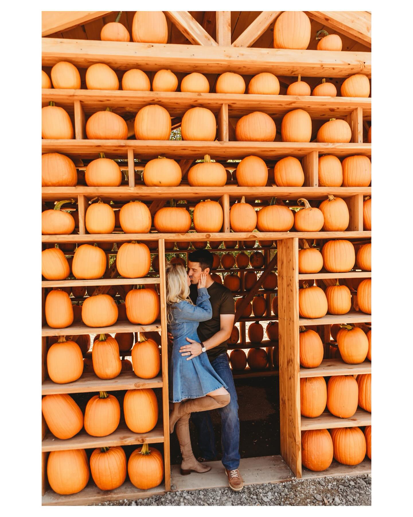 Formally petitioning that all family sessions happen at the pumpkin patch until fall is over 👻🤩🎃
•
•
•
#kelseyquickphotography #kqp #family #lighttexturetones #familyphotography #parents #love #memories #kansascityphotographer #libertyphotographer #lawsonphotographer #portraitphotographer