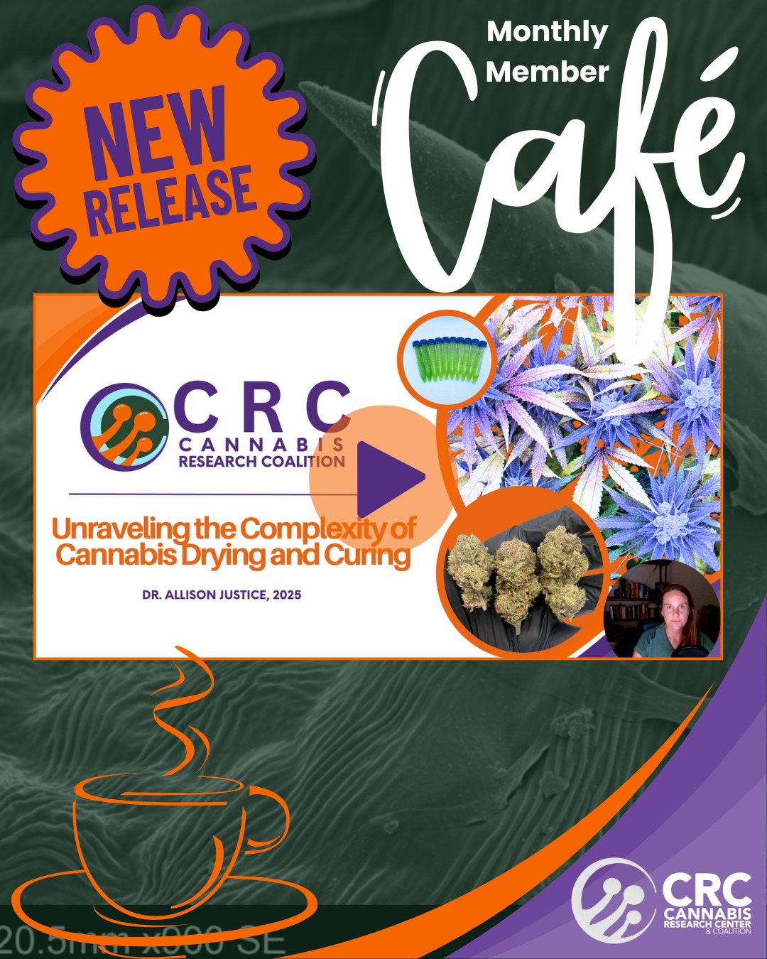 Think you’re growing great cannabis?
Many in our industry believe they have it mastered...
but the truth is, there’s very little science guiding post-harvest processes.
#Postharvest is more complex than most realize.
@dr.justice_grows in a talk for @cannabisscienc dives into drying and curing cannabis, revealing just how complex it really is.
CRC’s latest research is showing that by tuning into these post-harvest processes, growers can take their flower to levels of quality we’ve never seen before.
Join CRC today to access this and more cutting-edge cultivation science and over 2 years of educational café recordings!
CRC MEMBERS: Log in>click more>click educational Cafe recordings
Thanks to CRC’s supporting industry vendors, membership is completely free for cultivators and researchers!
Stay informed, stay ahead, and elevate your craft.
NOT A CRC MEMBER & WANT ACCESS?
LINK IN BIO TO JOIN!