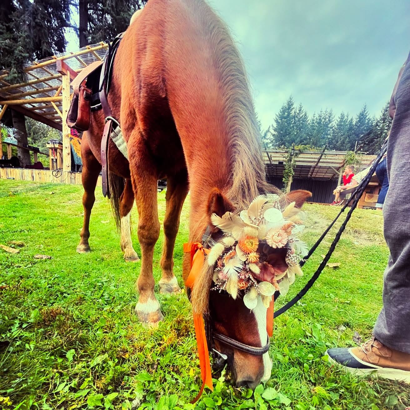 Mia rocked her glow-up at the green grass brunch.