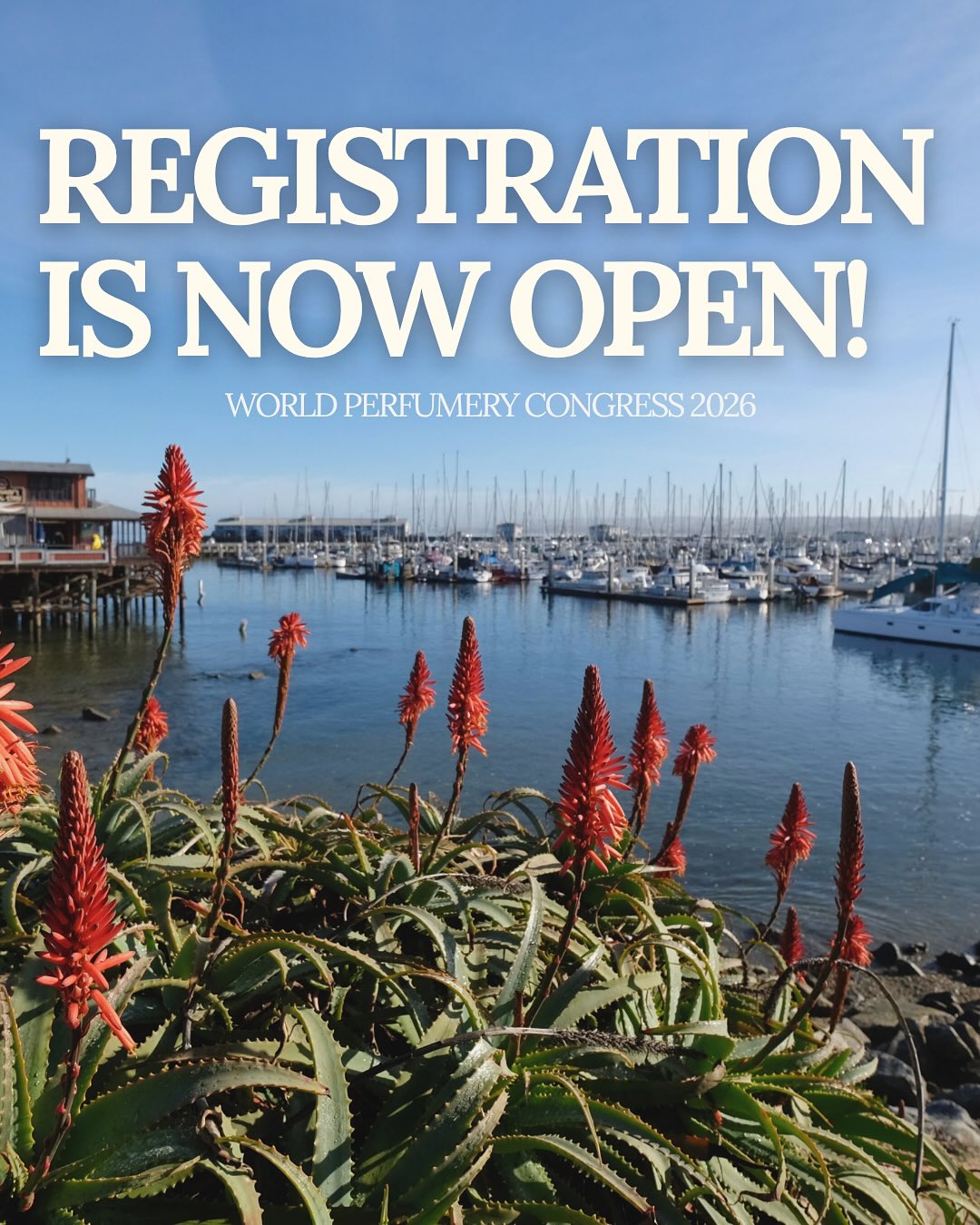 🐝 Have you heard the buzz? Early bird registration is available for World Perfumery Congress 2026 attendees!
Take advantage of early bird pricing and special rates for perfumers and students. Don’t miss your chance to connect, learn, and be inspired alongside industry leaders from around the world.
Information below on what is included with registration (like breakfast and lunch each day of the event), access to conference sessions, expo hall and networking events!
🔗 Register and find full event details: www.wpc.perfumers.org