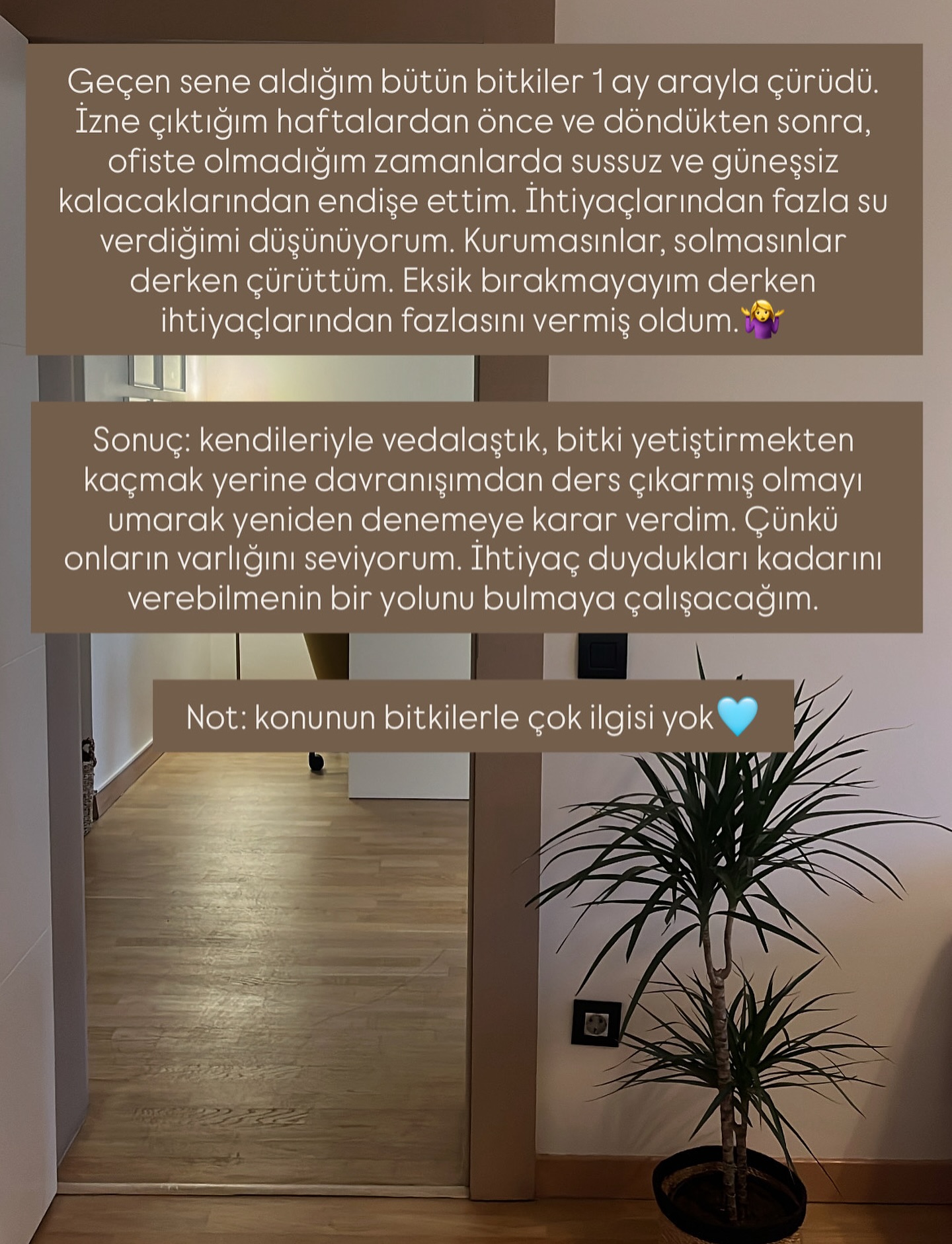 #bitkilerdenogrendiklerim 🌱
#psikoloji #psikoterapi