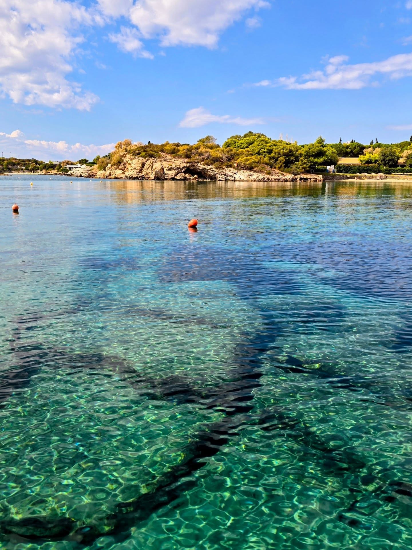 Sometimes the best way to deal with stress is to step away, breathe, and find that little spark of joy in movement. 🌊✨
For me, it’s hiking in the mountains, flowing on my yoga mat, or—like in this video—feeling completely free in the water. These moments let me switch off, recharge, and reconnect with myself.
At Nefeli Nine Retreats, we’ve created a space where you can do exactly that for a whole week. Think daily hikes through stunning Greek landscapes, yoga by the sea, nourishing meals, and plenty of time to simply be. We take care of every detail, so all you need to do is arrive and allow yourself to reset. 💙
If you’re craving a break from the everyday, come and join us in Greece. Your mind and body will thank you.
.
.
.
.
.
.
.
.
.
.
.
.
.
.
#NefeliNineRetreats #HikingAndYogaAdventure #Wakesurfing #RechargeYourSoul #RestoreAndRecharge #greekadventures #YogaRetreat #HikingRetreat #MindfulLiving #WellnessTravel #VisitGreece