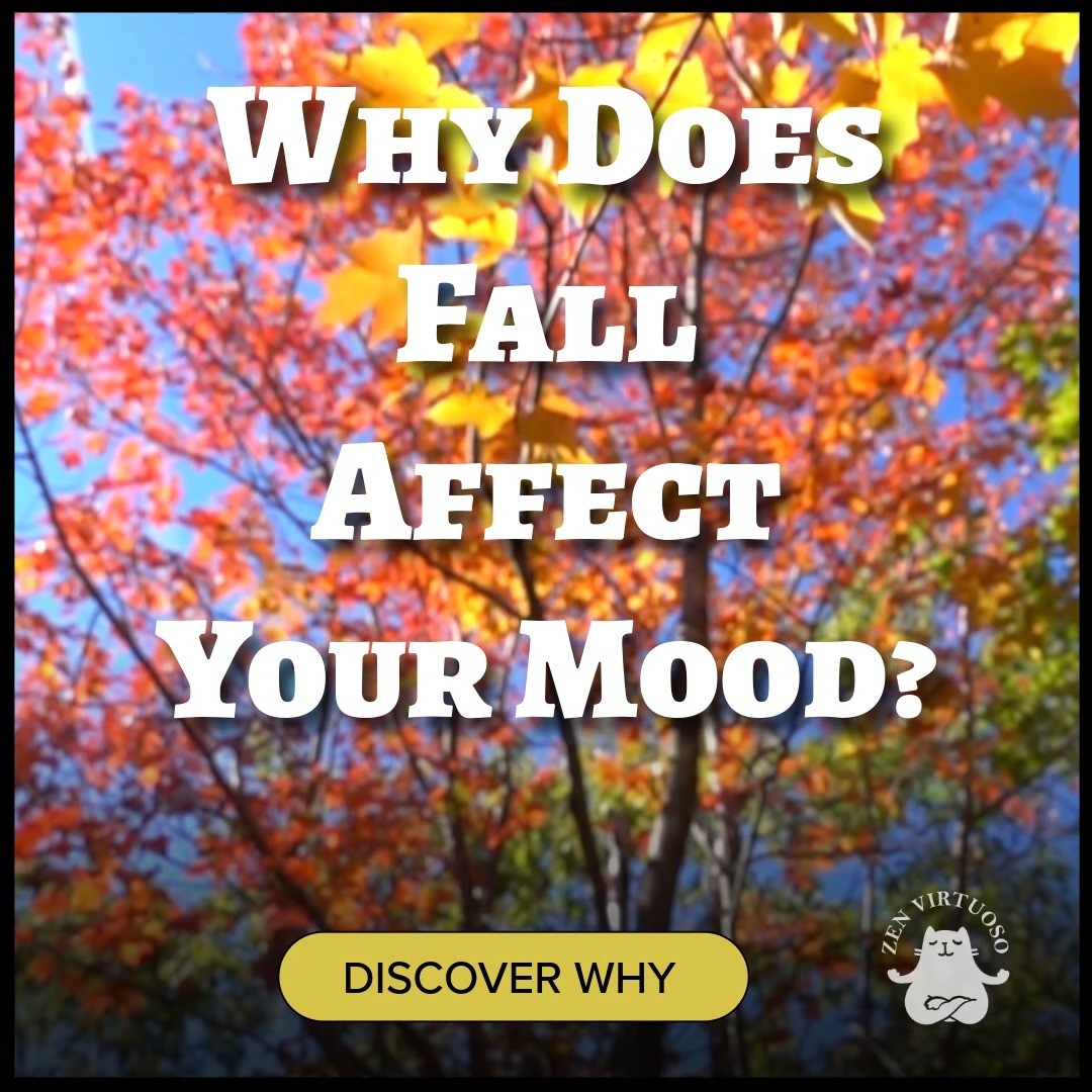 Your mood shifts with the season—and you’re not imagining it. 🍂
Shorter days = bigger changes for your body and mind.
Link in Bio
#ZenVirtuoso, #ZentopiaCushion, #ZenEssential, #ErgonomicLiving, #WorkFromHome, #OfficeChair, #Chiropractors, #SelfCareRituals