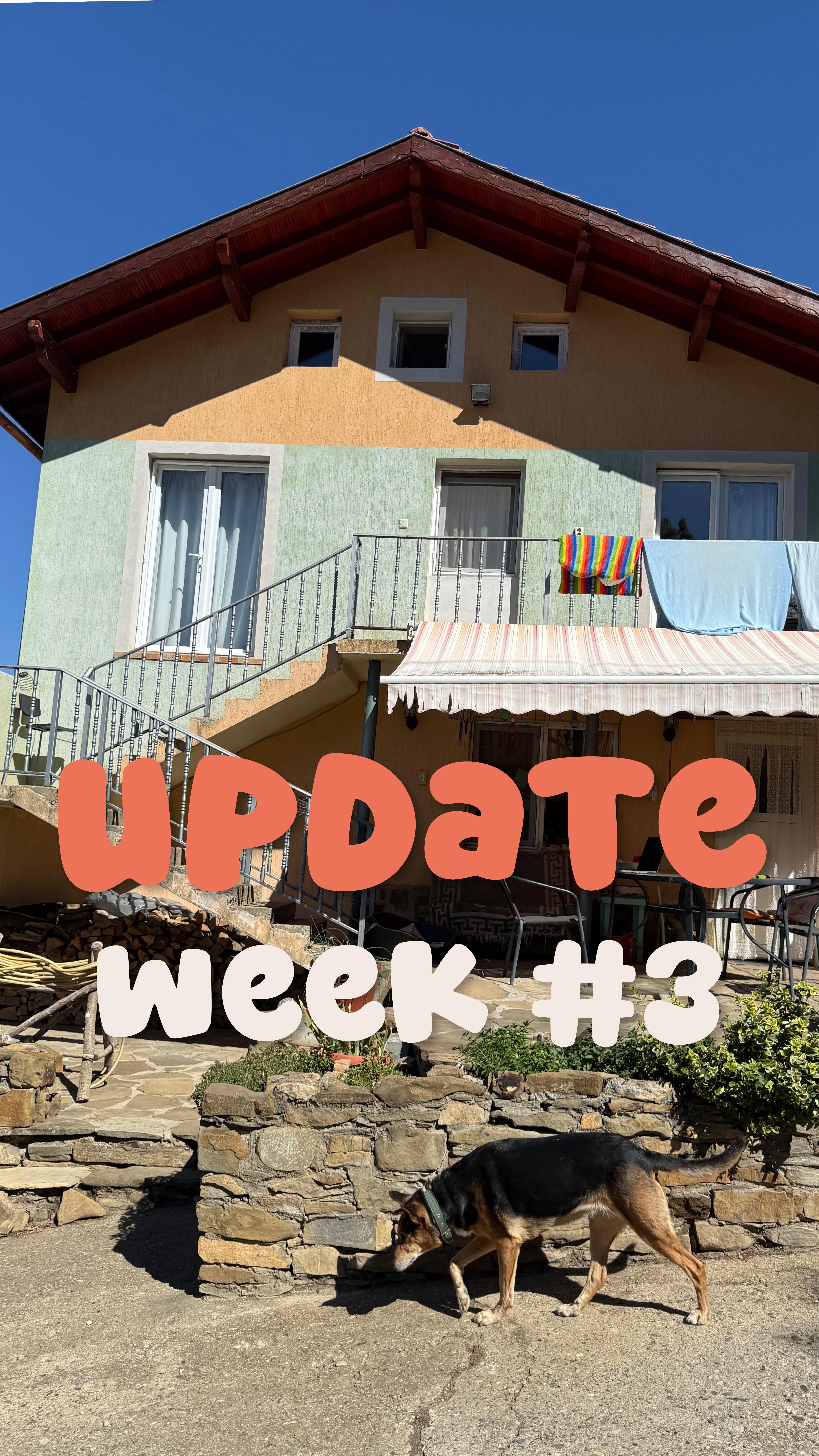 Week #3
In Bulgaria! ๐ง๐ฌ
Planning and prep week ๐คฉ
#designer #creative #creativejournal