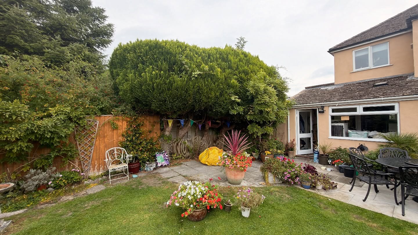 Before and After 📸
✨ Another great day out in the sunshine! ☀️ Today’s job was all about getting these conifers back into shape – neat, tidy, and ready for the season 🌲✂️ Plus, the wisteria got a much-needed cut back, which will keep it healthy and ensure an even better display of blooms next year 💜🌿
There’s nothing like seeing a garden transform after some careful pruning and maintenance – it really brings the whole space back to life! 🌸
#GardenCare #ConiferTrimming #WisteriaPruning #GardenMaintenance #BeforeAndAfter #GreenSpaces #GardenDesign #PruningSeason #GardeningLife #SunshineAndGardens #GardenLovers #TransformYourGarden