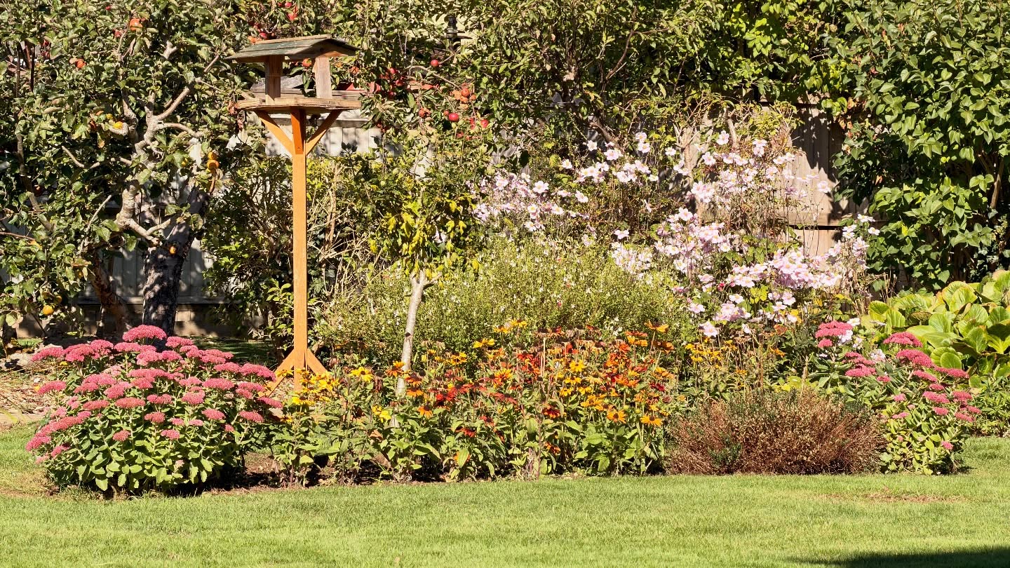 🌞✨ A wonderful day in the sun — with a little chill in the air, but still sweaty work for our garden team today! 💪🌱
From cutting grass ✂️🌿 and strimming, to tidying borders 🌸 and giving the roses some extra love 🌹💚 … it’s all about keeping this garden in check and looking its best.
Nothing beats fresh air, hard work, and the reward of a beautiful garden 🌳🦋☀️
#GardenMaintenance #TeamWork #Roses #FreshAirAndSunshine #GardeningLife