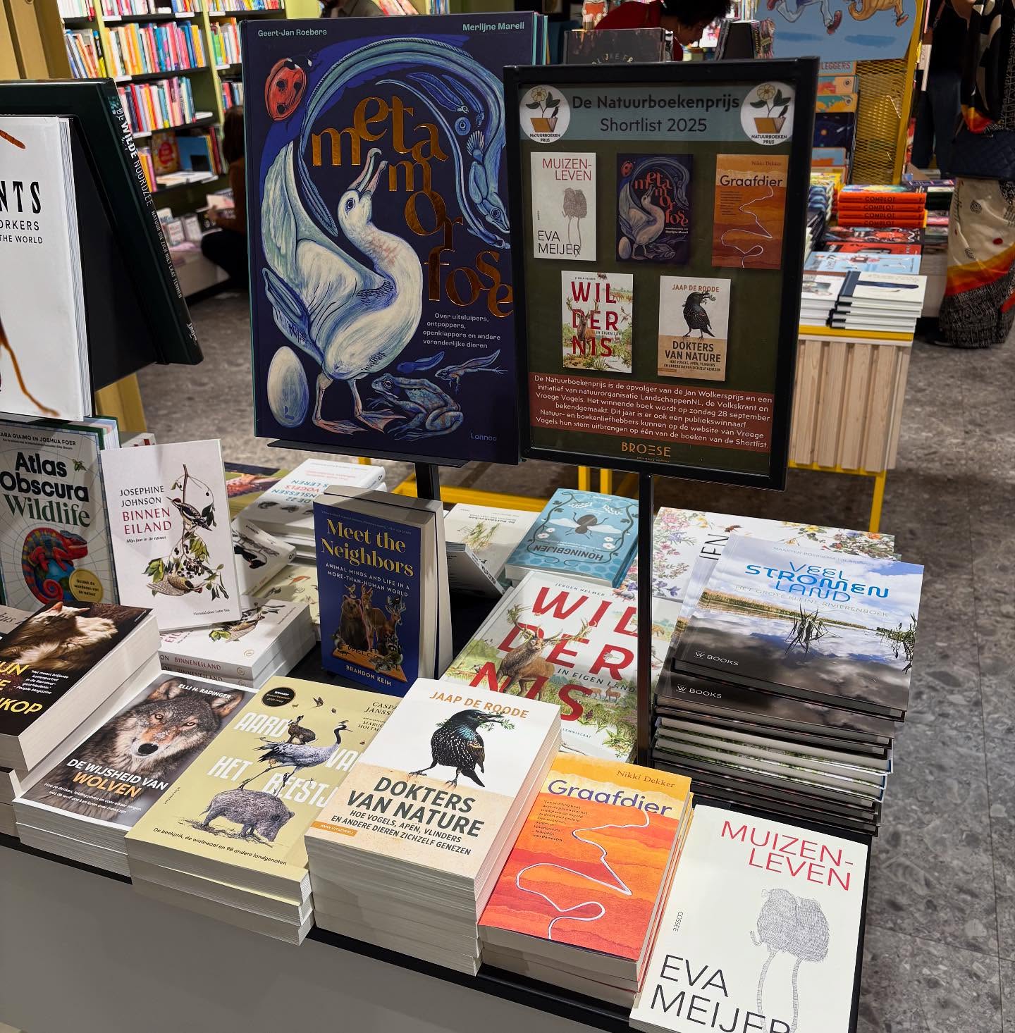Just so exciting to see my @knnvuitgeverij book #doktersvannature together with the other shortlisted books for the @vroegevogels_bnnvara nature book prize at one of my favorite bookstores @broese_utrecht in the Netherlands.