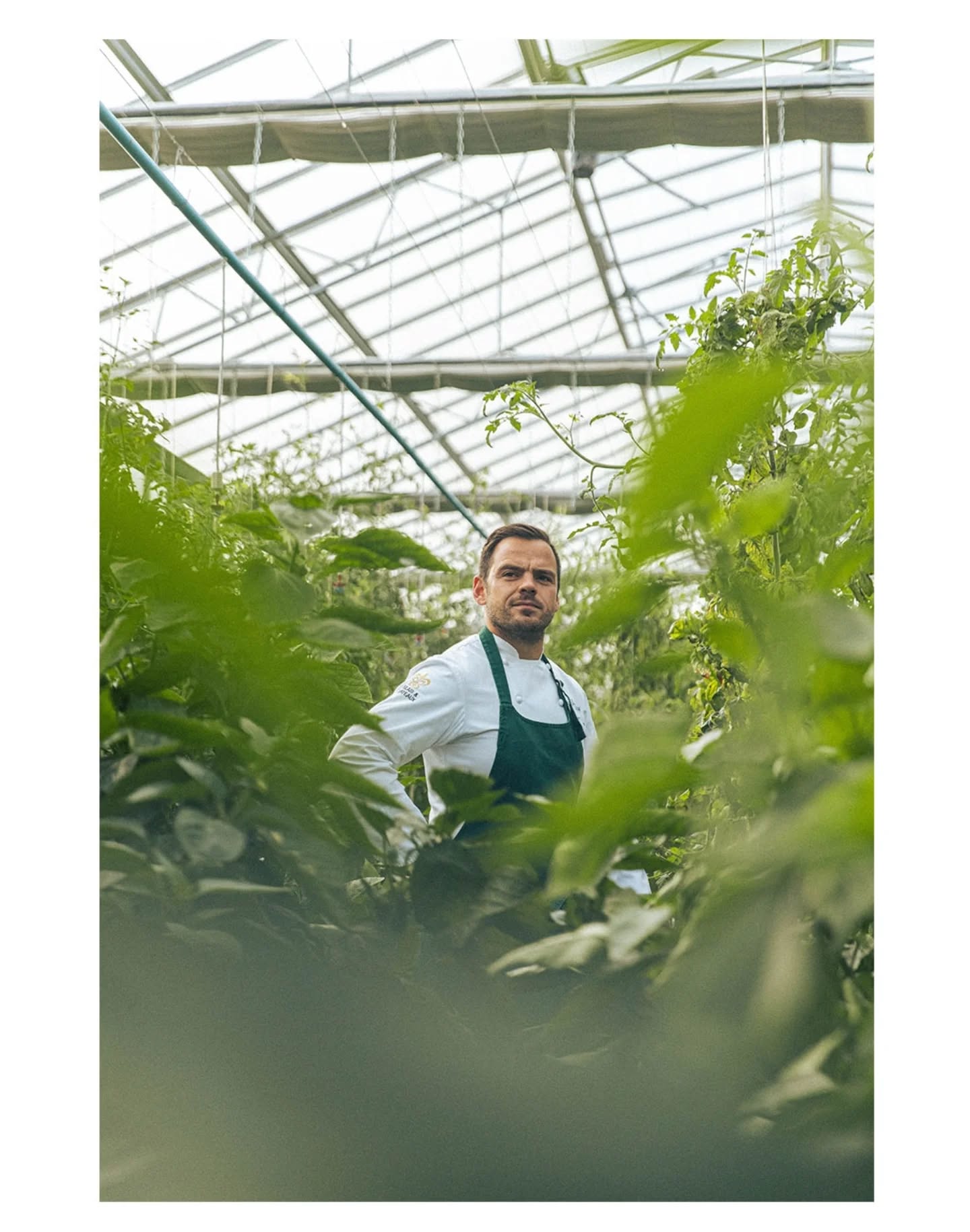 LEGUMAN
Greg à la ferme. 🍅🥕🥦
@greggarimbay
@saintjamesparis
@michelinguide
#5fruitsetlégumesparjour
#cheflife
#gastronomie
#vegetable