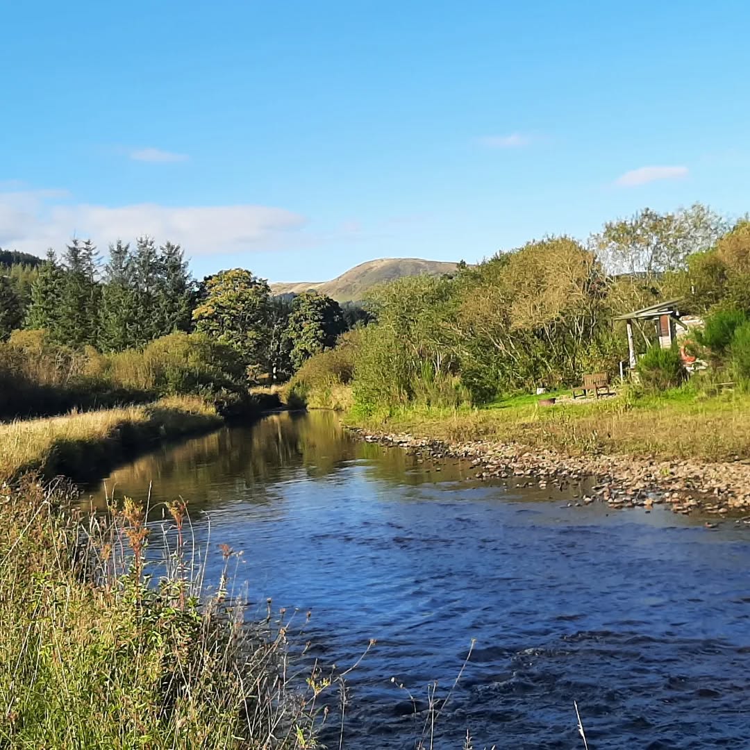 Crisp autumn views from across the river 💙