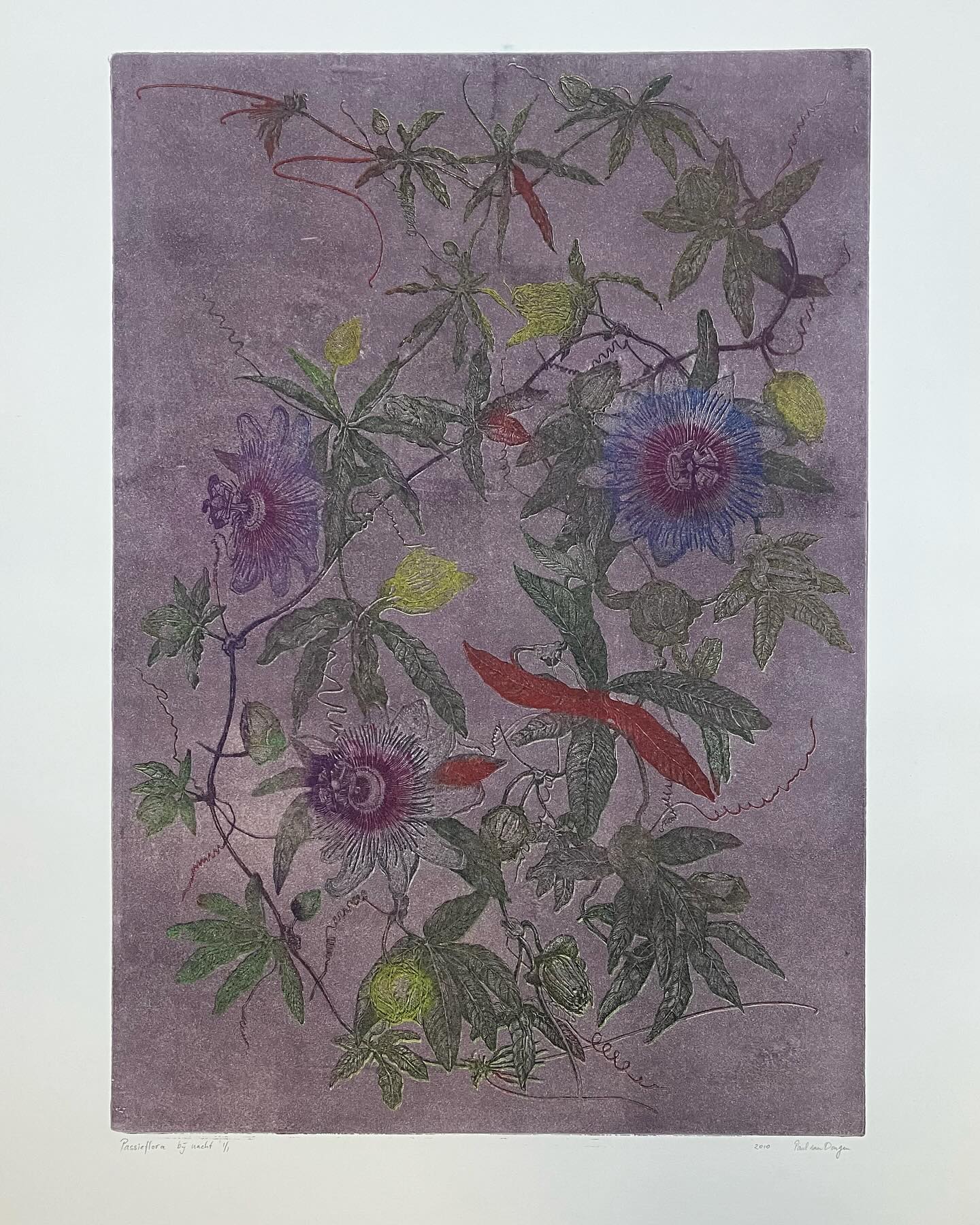 “Nachttapijt”, kleurenets, 2025. #lifedrawing #seashells #insectsartprints #deathandthemaiden #erosandthanatos #printmaking #etching #figuredrawing #classicdrawing #malefigureprints #blackandwhitedrawing #engraving #largeetching #penandink #quickstudies #malenudedrawings #portraitdrawings #portraitcommission #landscapedrawing #seascapedrawings #beachscenesart #selfportrait #fromlifeonly #stopusingphotographs #botanicalprints