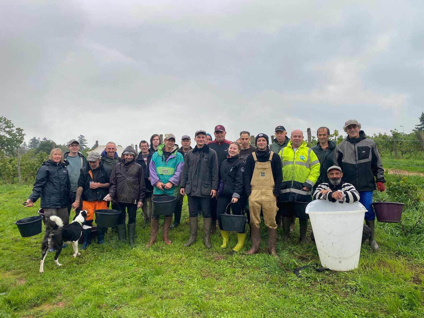 🍇VENDANGES 2025 🍇
Clap de fin pour ce millésime particulier. Une super équipe, des beaux raisins mais de faibles rendements.
Les jus sont bons, rendez vous au printemps !!
Merci à tous ceux qui ont contribué à ce millésime
#coteroannaise #gamaysaintromain #gogamaygo #loirevolcanique #granit