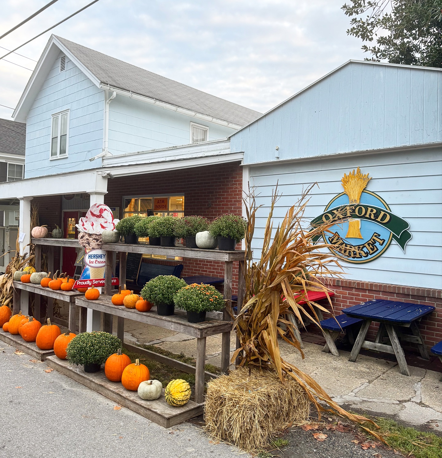 Good gourd! Those are some nice pumpkins 🎃 Happy spooky season 🎃🍁🍂👻
#oxfordmarket #easternshorefall #oxfordmaryland #localbusiness