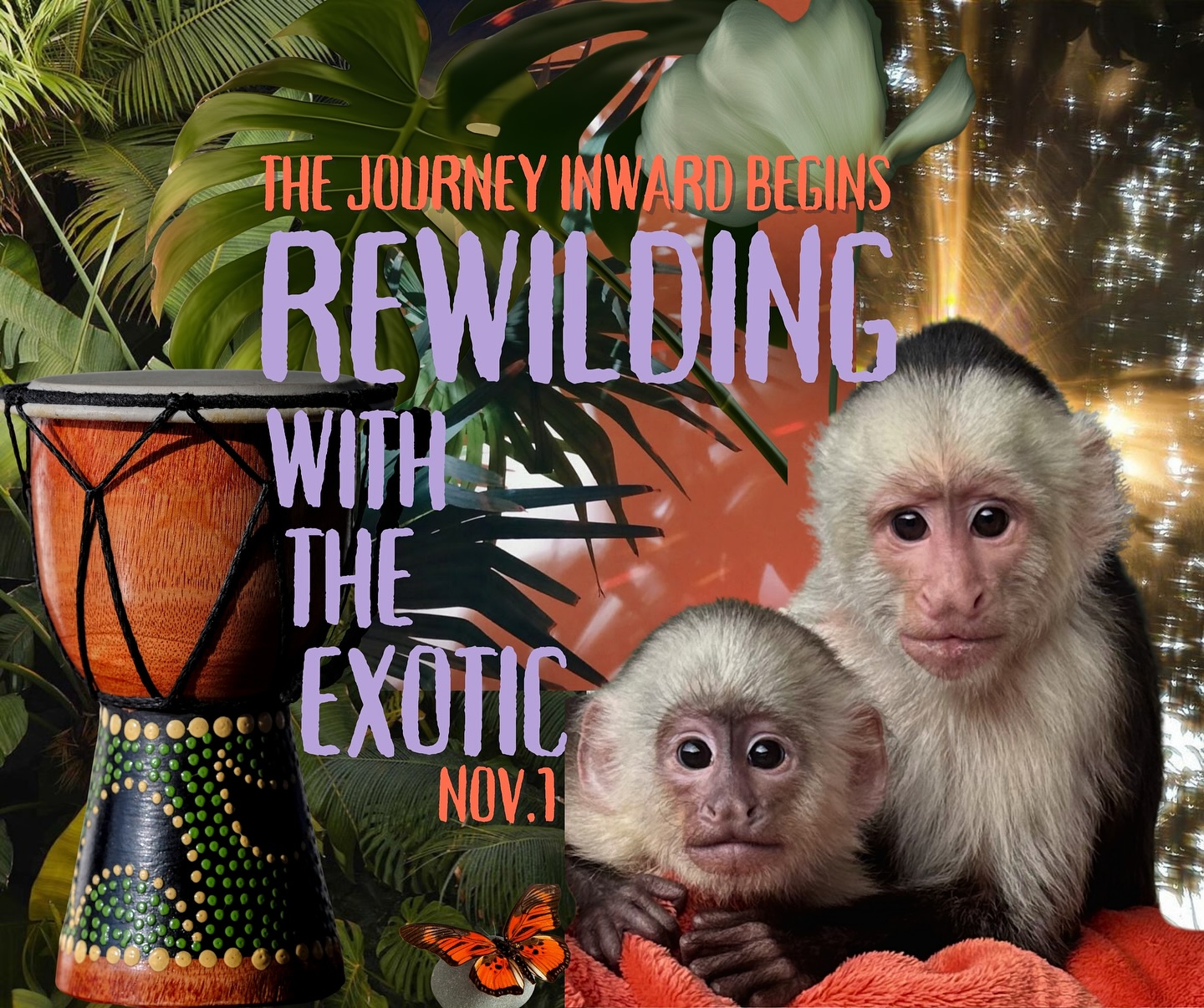 🌿 Next month, we gather.
A sanctuary of monkeys, peace, and palms.
A circle of women, creating and releasing.
A soul-deep return to what matters.
✨ ReWilding with the Exotic | Half-Day Retreat | November 1 ✨
Spots are limited and filling quickly.
Give yourself the gift of restoration.
📍 SiS Island Sanctuary, Orlando