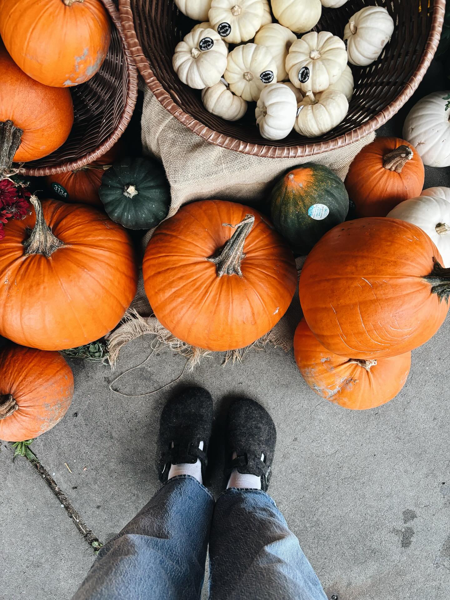 Hello October 👋🏽 Bring on the pumpkins & fall tones.