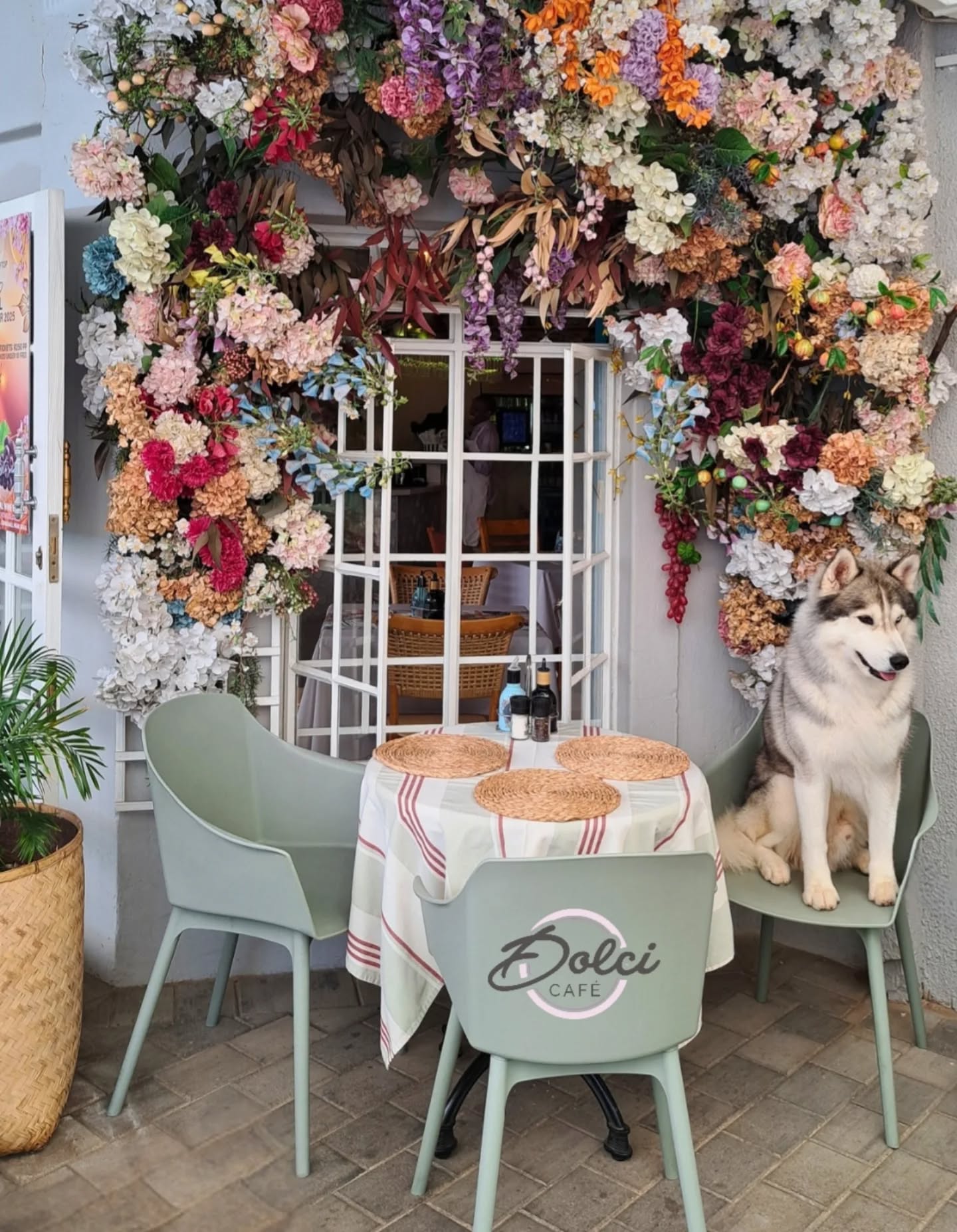 Always stop to smell the flowers, especially those at @dolci_sa
#italy #italianrestaurant🇮🇹 #Knox #worldchallengeoftopdogs2026 #wds2026🇮🇹 #southafrica #southafricarepresentative #kusa #kusaregistered #showdogoftheyear #showdogs #siberianhusky #siberianhuskiesofinstagram #showdogsofinstagram