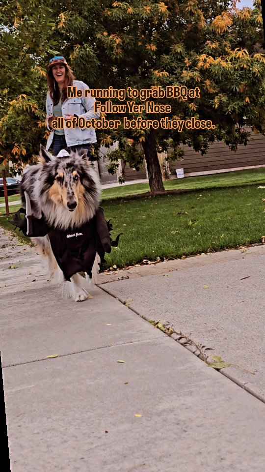 New Fall BBQ Hours. Thur-Mon 11:30-7:00. Slanging barbecue 5 days a week til its too cold for an outdoor BBQ Shack in Emigrant, Montana, yall.
🍁
#bbq #fall #paradisevalley