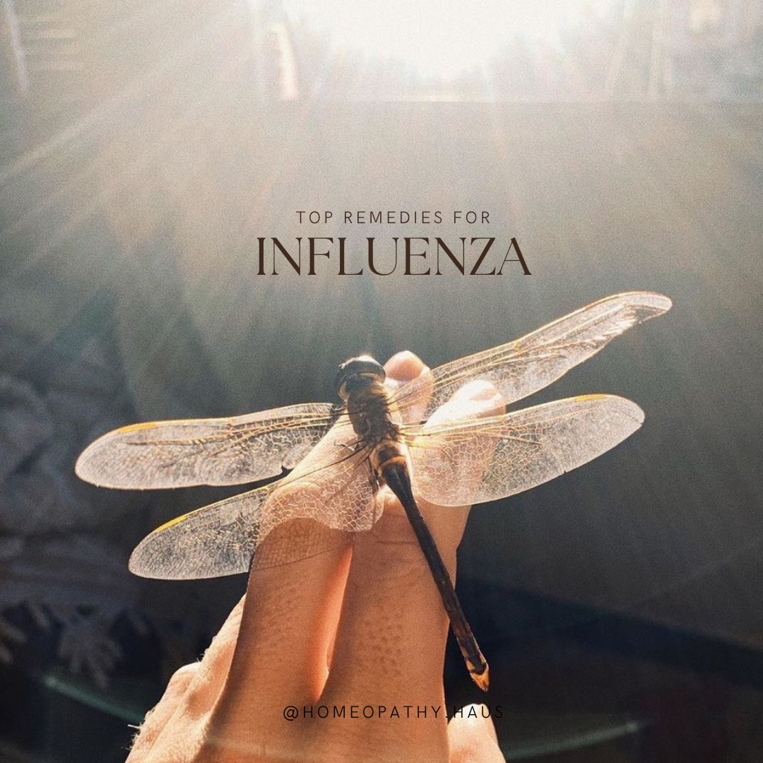 Winter is over but the sickness seems to be lingering! These are some of the top homeopathic remedies for influenza to help ease symptoms and support recovery naturally.
Want to find out more information? DM me or visit my website to purchase remedies directly!
#homeopathy #flu #influenza #naturalremedies #healthtips #wellness #immunehealth #holistichealth #fluseason #homeopathicremedies