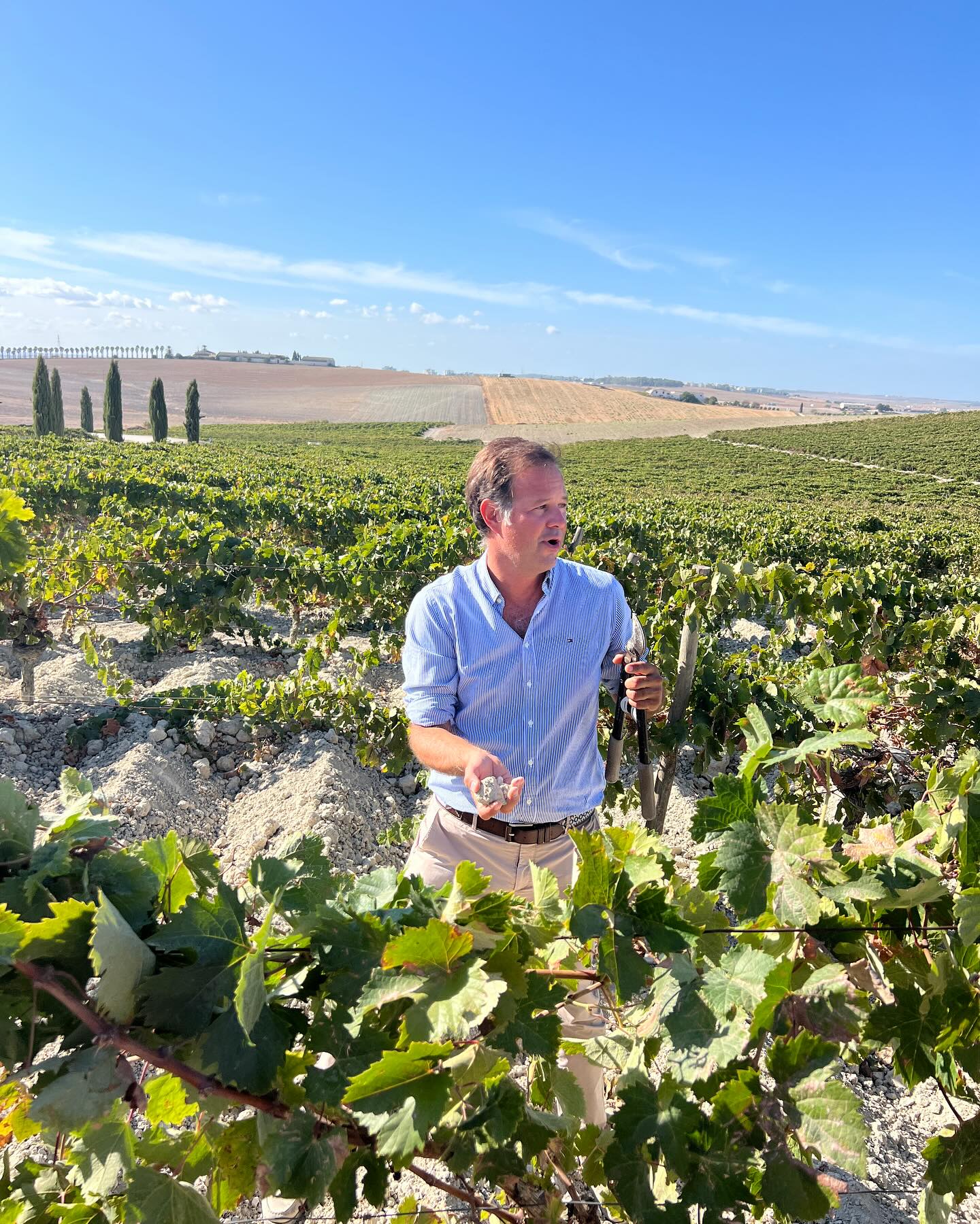 Day Two of the Advanced Sherry educator program was brilliant! We began our day with more theory on winemaking and viticulture and then headed to Gonzales Bypass Vina La Canarias for vineyard tour and a practical session on viticulture - where our footprints became white with albariza (the high chalk content soil palomino loves) and a demonstration on vara y pulgar pruning, a vine system traditional to the area - and one that makes so much sense - but that is being lost to mechanization. A fabulous tasting from mosto to aging of sherry wine, traditional lunch with croquette, chickpea and chorizo stew and more…. More sherry tasting, then Valdespino for a vertical tasting of sweet wines from moscatel to PX, and off to sanlucar barameda and bodegas barbadillo. We felt the Sanlucar ocean breezes that make Manzanilla so unique (and salty) the minute we were off the bus… a tour of barbadillo’s stunning wine cathedral oriented to take advantage of the poniente wind and avoid the ravages of the levante and more learnings from their winemaker. Barrel tasting and much more plus endless dishes of seafood matching perfectly with the range of Manzanilla’s we tasted. Heaven on earth! And probably about 40 sherries tasted… @sherrywinesjerez @gonzalesbypass @valdespinosherry @bodegasbarbadillo