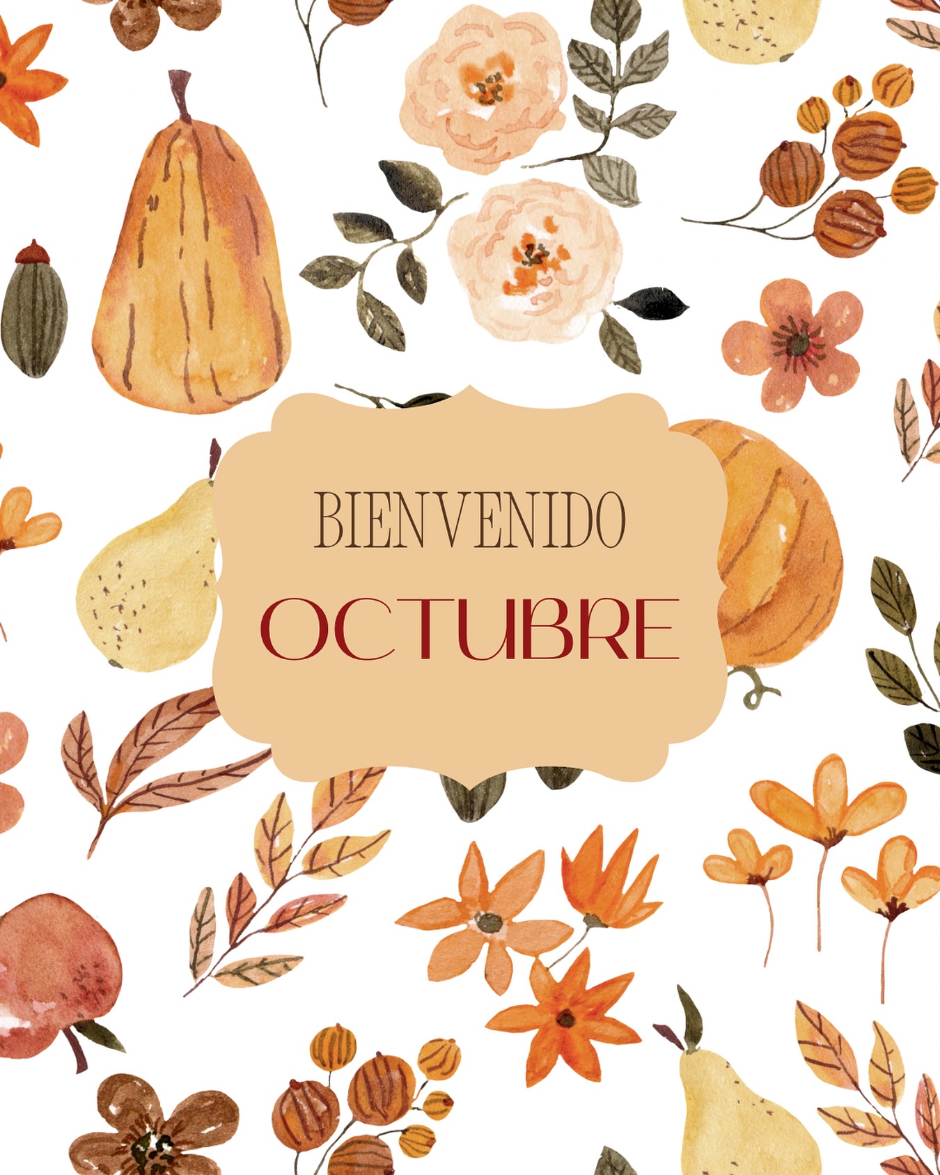 🍁✨ ¡Bienvenido, octubre! ✨🍁
Uno de nuestros meses favoritos del año ha llegado, y con él los días cozy, las mantas suaves, el olor a especias en el aire y, por supuesto, la magia de nuestras velas 🕯🤎.
En Softie Candles, octubre es un mes muy especial: es cuando el otoño se vive en todo su esplendor, cuando encender una vela se convierte en un ritual y cuando nuestra creatividad florece con colecciones que nos inspiran tanto como a ti 🌿🎃.
Estamos felices de compartir contigo este mes lleno de novedades, talleres y momentos únicos.
👉 Cuéntanos, ¿qué es lo que más disfrutas de octubre? 🍂