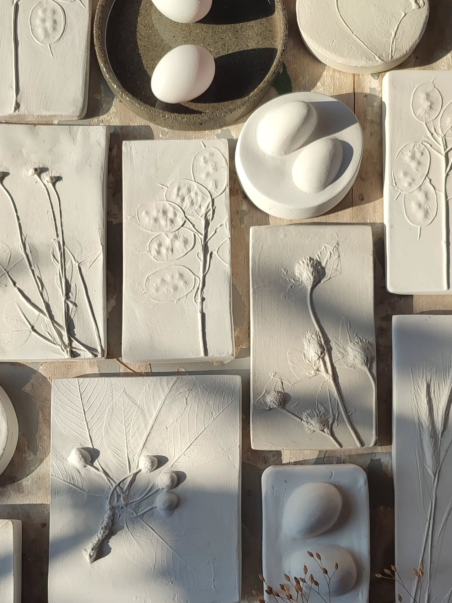 NATURA CONCRETA
Questo lavoro è nato nel 2020 da una sperimentazione naturalistica di mio figlio.
Un libro sulle impronte degli animali suggeriva di fare il calco di quelle trovavamo nell'orto per identificarle meglio e noi ci abbiamo provato.
È stato un nostro gioco per il periodo dell'homeschooling, abbiamo fatto impronte dei gatti, delle sue mimose, e da lì ho iniziato a provare con tutte le nostre piante preferite.
Tavole con oleandri, gelsomino, ciliegie e lavanda...erano bellissime e mi sono innamorata del dettaglio lieve di una venatura o un petalo catturato dalla materia.
Quando ho mostrato una prima produzione qualcuno mi ha fatto vedere cose simili già esistenti e mi sono sentita un po' stupida per aver pensato di star coltivando una mia piccola novità, così le ho abbandonate per un po'.
Ho lasciato passare un anno, un tempo in cui comunque ho continuato a meravigliarmi per la bellezza di queste forme, per la poesia dell'effimero trattenuto nella materia, per come anche una piantina umile e misconosciuta sia quadro e allora basta, ho ripreso a lavorarci rifugiandomi nella loro bellezza leggera e commovente.
Ora sono pronta, eccole, qui vedete quelle bianche, una sorta di gipsoteca botanica, poi scoprirete qualcosa in terracotta, qualcosa dipinto, qualcosa ancora in evoluzione...
"EDEN" l'edizione 2025 di @orticolariocomo
sarà l'occasione per presentarle tutte insieme.
Mi trovate giovedì 2 dalle 15 alle 19 e venerdì 3, sabato 4 e domenica 5 ottobre dalle 9 alle 19 al posto 55 del padiglione Lario della zona espositiva di Villa Erba a Cernobbio sul lago di Como.
Tutte le info e i biglietti sul loro sito.
(nella foto 2 il primo calco, lo zoccolo del capriolo che viene nell'orto a mangiare le zucche)
#tavolebotaniche
#emporiomikica