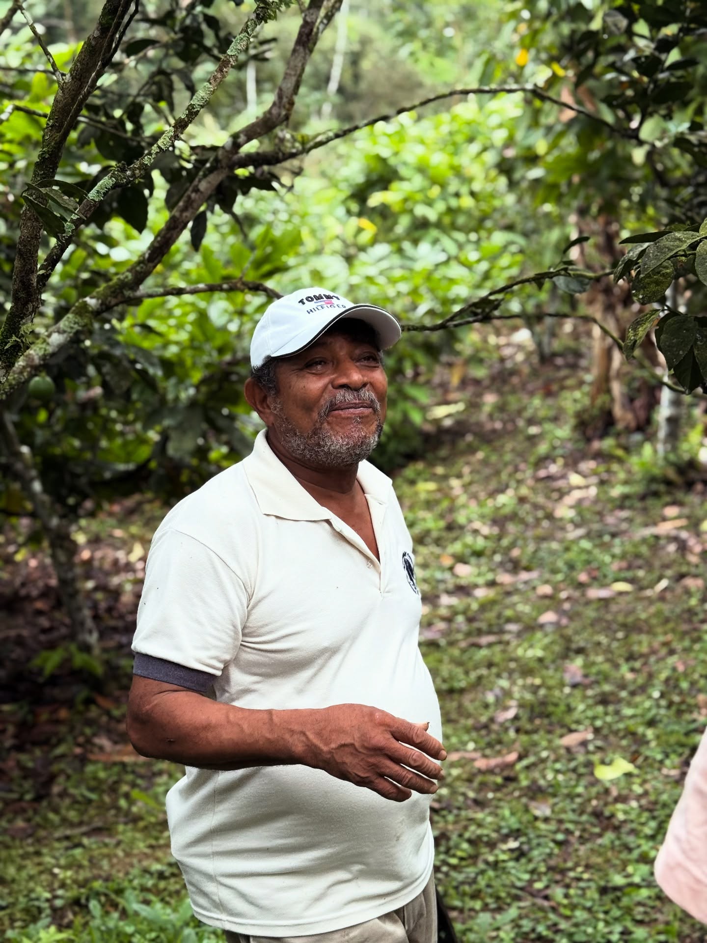 Heute ist World Cacao & Chocolate Day! Ein Tag, der mich an die Wurzeln unserer Schokolade führt: nach Esmeraldas in Ecuador.
Hier wächst der Kakao in lebendiger Mischkultur zwischen Bananenstauden, Mango- und Zitrusbäumen. Keine Monokultur, sondern ein kleiner Dschungel, in dem jeder Baum Teil eines größeren Ganzen ist.
Wenn wir Schokolade genießen, sehen wir oft nur die Tafel in der Verpackung. Doch dahinter steckt ein weiter Weg: das sorgfältige Fermentieren der Bohnen, das Trocknen in der Sonne, die handwerkliche Verarbeitung direkt in Ecuador. So bleibt der Wert im Ursprungsland bei den Menschen, die seit Generationen mit Kakao leben.
Heute möchte ich all jenen danken, die diesen Schatz der Natur hüten, und daran erinnern, dass Schokolade mehr ist als ein Genussmittel. Sie erzählt Geschichten von Erde, Klima, Kultur und Gemeinschaft.
#WorldCacaoDay #WorldChocolateDay #CacaoFromEcuador #FarmerOwned #DirectTrade #Agroforestry #Biodiversity #BeanToBar #MadeInEcuador #CacaoEsmeraldas #SustainableChocolate #CacaoCulture #FairCacao #CraftChocolate #LaChocolatera