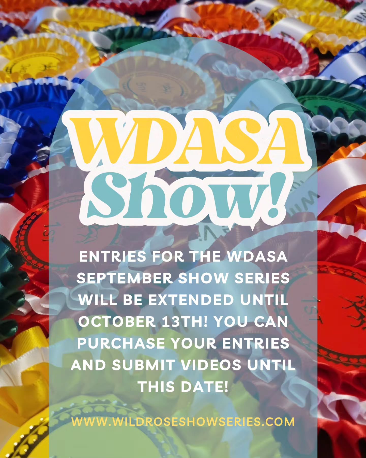 🎉 Deadline Extended for the WDASA September Show Series! 🎉
Great news, riders! We’re giving you a little extra time to join in the fun. The entry deadline for the WDASA September Show Series has been extended until October 13th!
That means you still have time to:
✅ Purchase your entries
✅ Record and submit your videos
✅ Be part of the competition and showcase your hard work 🐴✨
Whether you’ve been meaning to sign up but haven