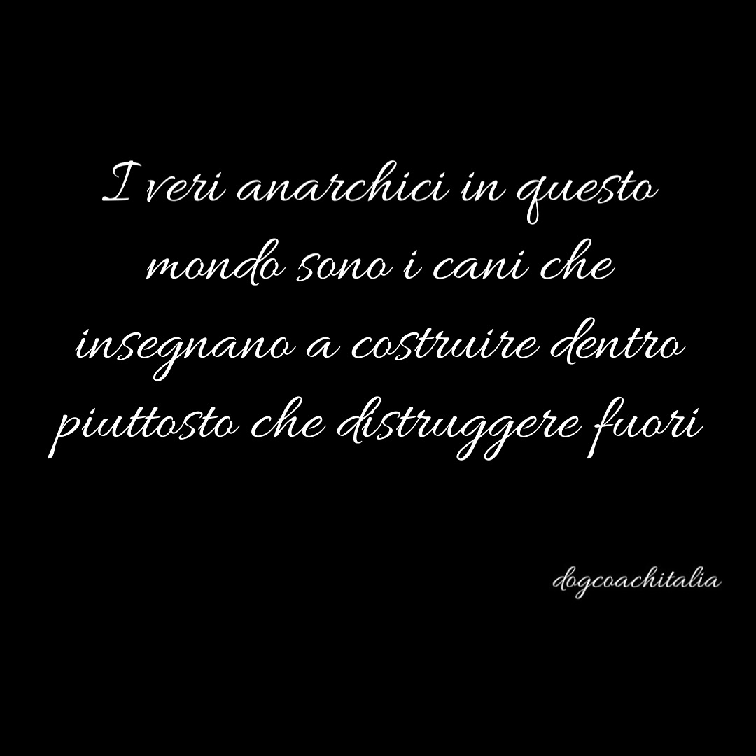I veri anarchici…
#anarchici #canianarchici #costruiredentro #maestri #canimaestri #vitadacani