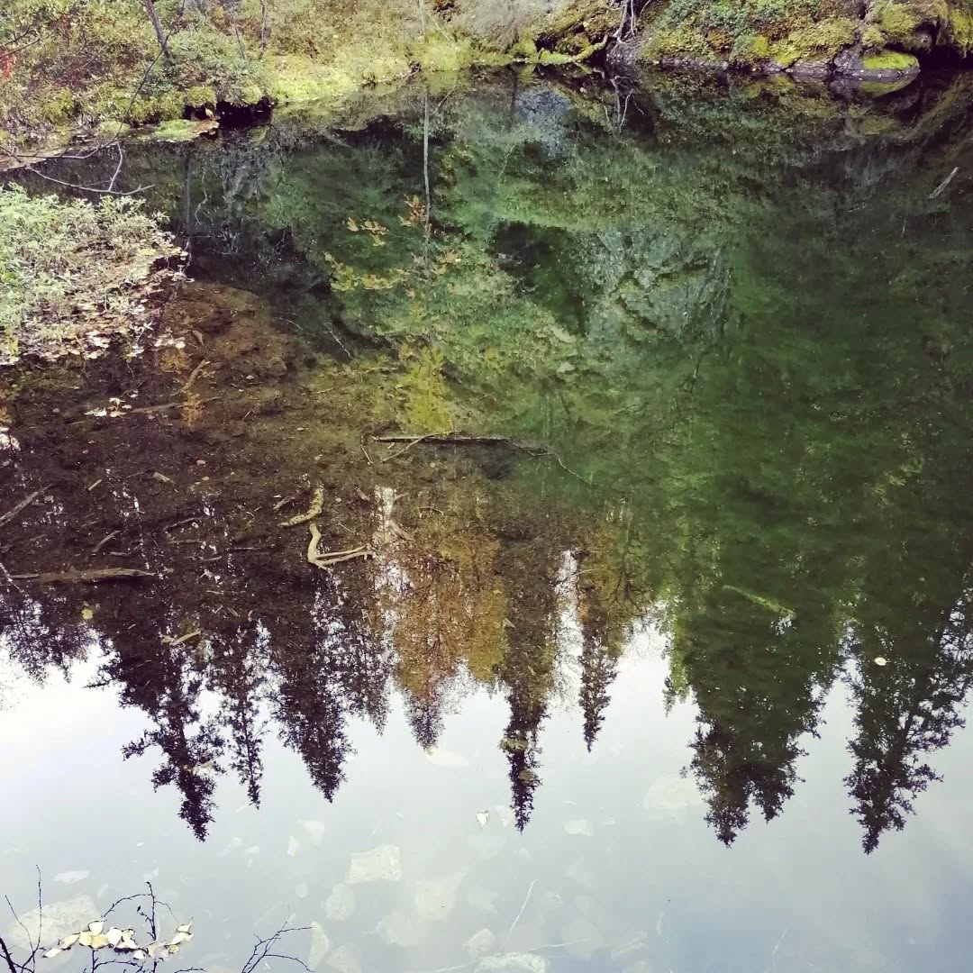 Luonnon pyhyys ja maagisuus on vahvasti läsnä, kun pysähdyt tunnustelemaan ja tarkkailemaan.