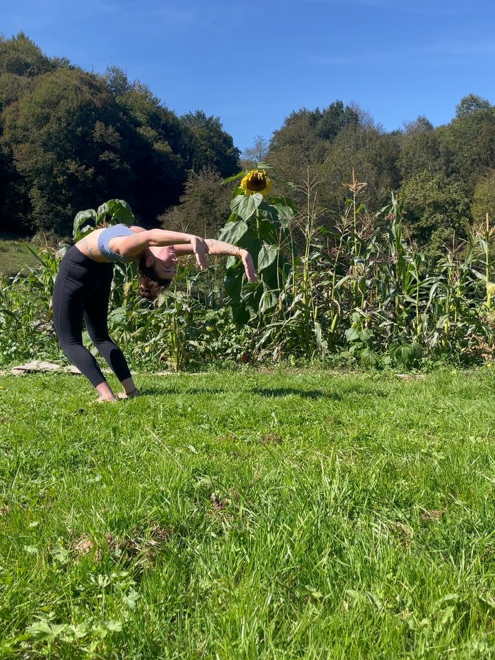 Fin de saison 🔆🍂
Place à l’automne, aux nuits fraîches et à l’obscurité. Aux champignons dans la forêt, aux couleurs dorées de l’aube et aux pulls bien chauds.
Ralentir • Observer • Respirer
L’automne ouvre la porte du Métal
Les feuilles s’abandonnent à la terre, comme nos peines au silence du vent.
C’est la saison des sorcières, rappelant à nos âmes l’art sacré du détachement.
1. Procrastiner au soleil
2. Reliance végétale et diète à la ronce @lecerclevertueux
3. Chat•vasana
4. Les premières esquisses @hameau.sauvage
5. Sunset dans les Baronnies
6. Maitake 👌
7. Apparement y’a un truc intéressant par là-bas
8. Dormir sous la Grande ours avec le brame des cerfs ✨
9. Yin automnal
10. Les nouvelles collocs