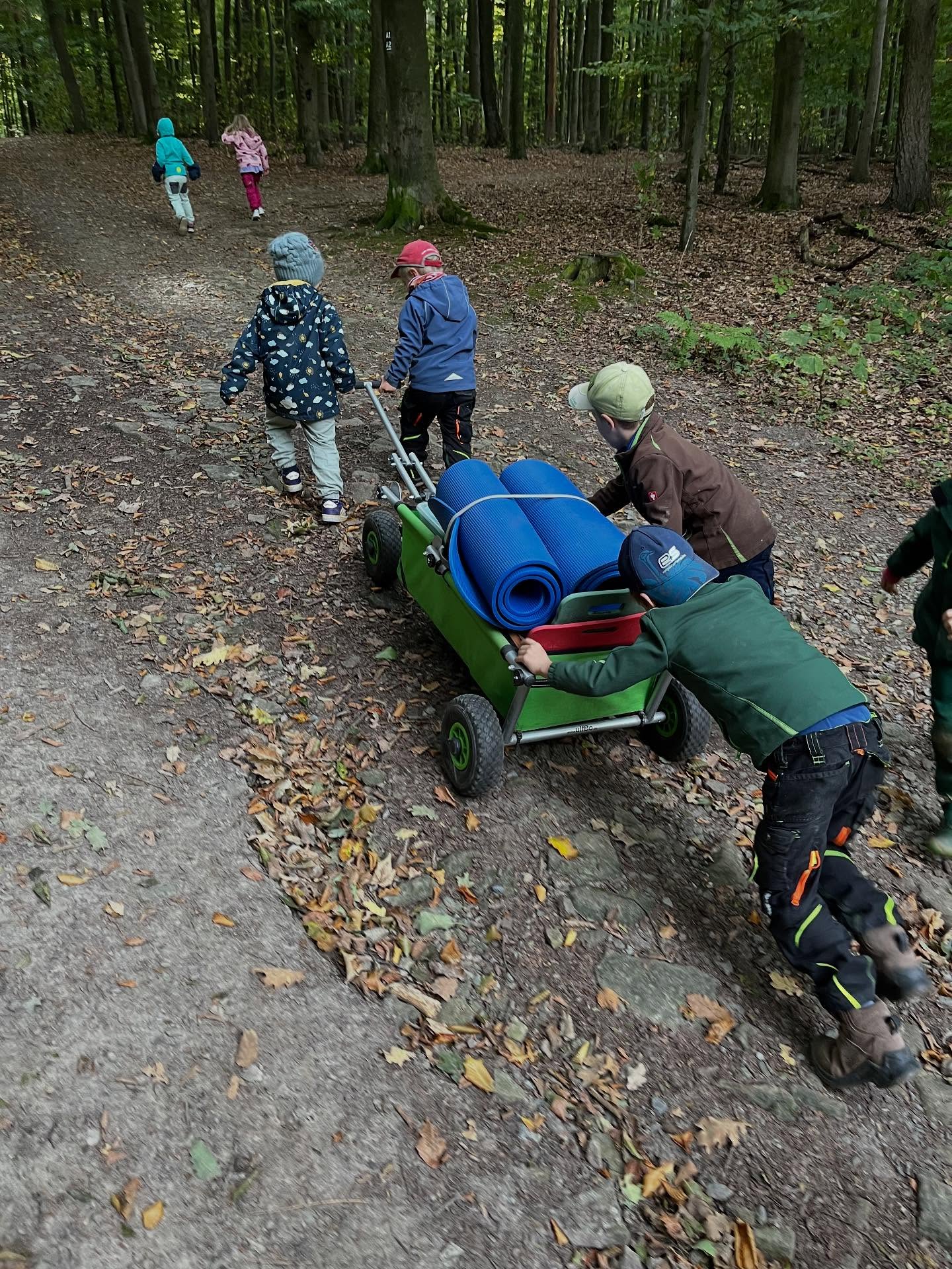 Eindrücke aus den letzten Wochen.
#wald #waldkindergarten #waldkindergartenliebe #waldkindergartenkind #waldkita #waldliebe #kinder #kita #vlotho #herbst #spaß #spielzeit #natur