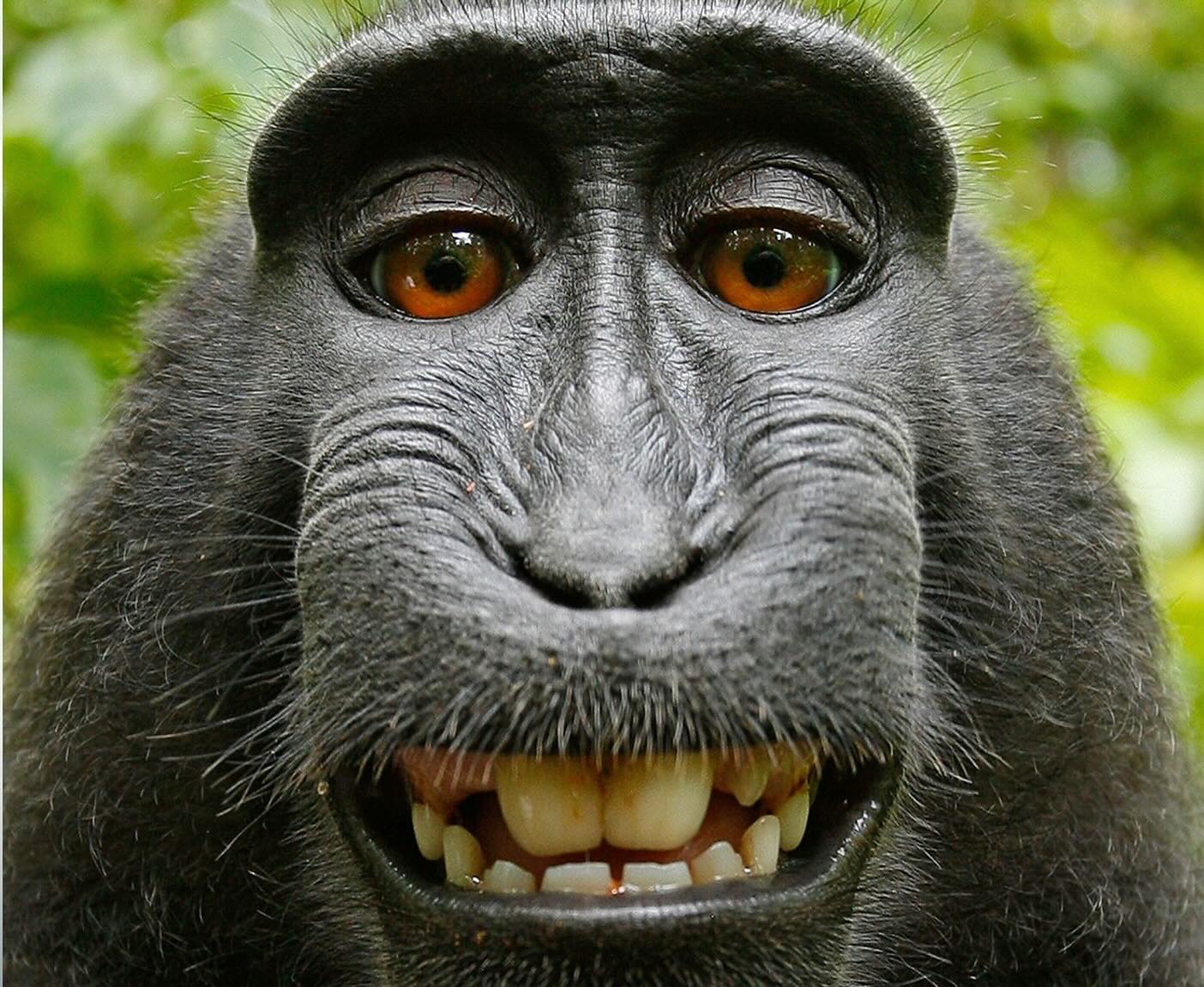 Can a machine be an artist? It sounds like a philosophy question, but it’s now a multi-billion-dollar legal battle tearing through creative industries. This week on the AI Ascent podcast, Dr. Jonathan Luckett unpacks the case that started it all: one AI-generated painting, one blue ribbon, and a firestorm that’s challenging everything from Renaissance-era copyright principles to the livelihoods of working photographers, illustrators, and writers.
We’re talking landmark lawsuits where visual artists are fighting tech giants, record labels are suing AI music generators, and courts are being forced to answer an impossible question: if a human writes a prompt and a machine generates the art, who’s the author? We’ll revisit the infamous “monkey selfie” case—where a macaque’s self-portrait sparked a legal circus about non-human authorship—and discover why that seemingly absurd lawsuit was actually a preview of today’s AI art crisis. The emerging answer is both surprising and profound, and it suggests that in a world where algorithms can replicate any style instantly, the real value of human creativity is shifting from what we can make to why we make it. Tune in to discover why the AI art revolution might actually be the best thing that ever happened to human artists.
Listen to the full episode here: https://bit.ly/3Whnt2d