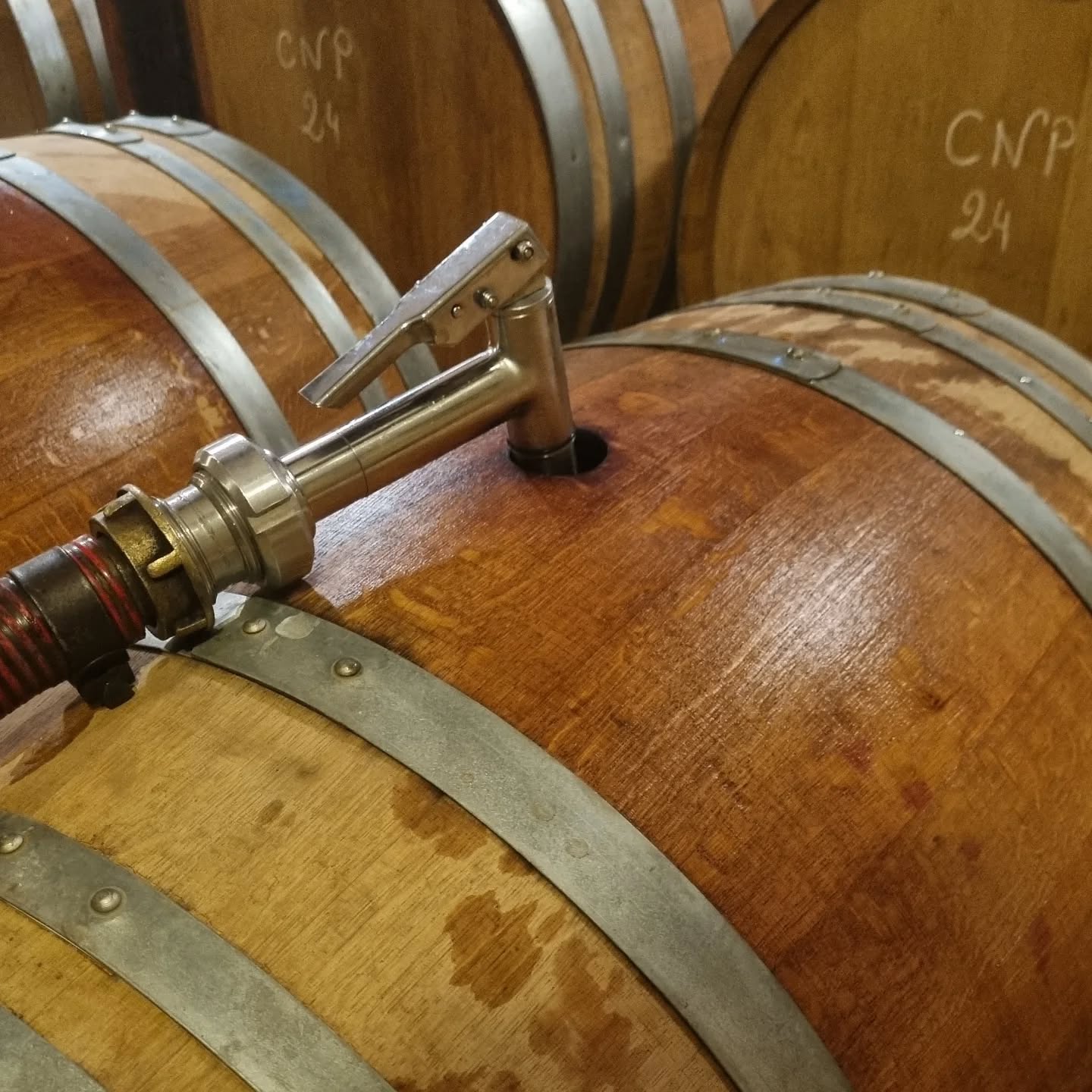 1er entonnage 2025, Syrah #vignoblesmontthabor #chateauneufdupapewine #syrahwine