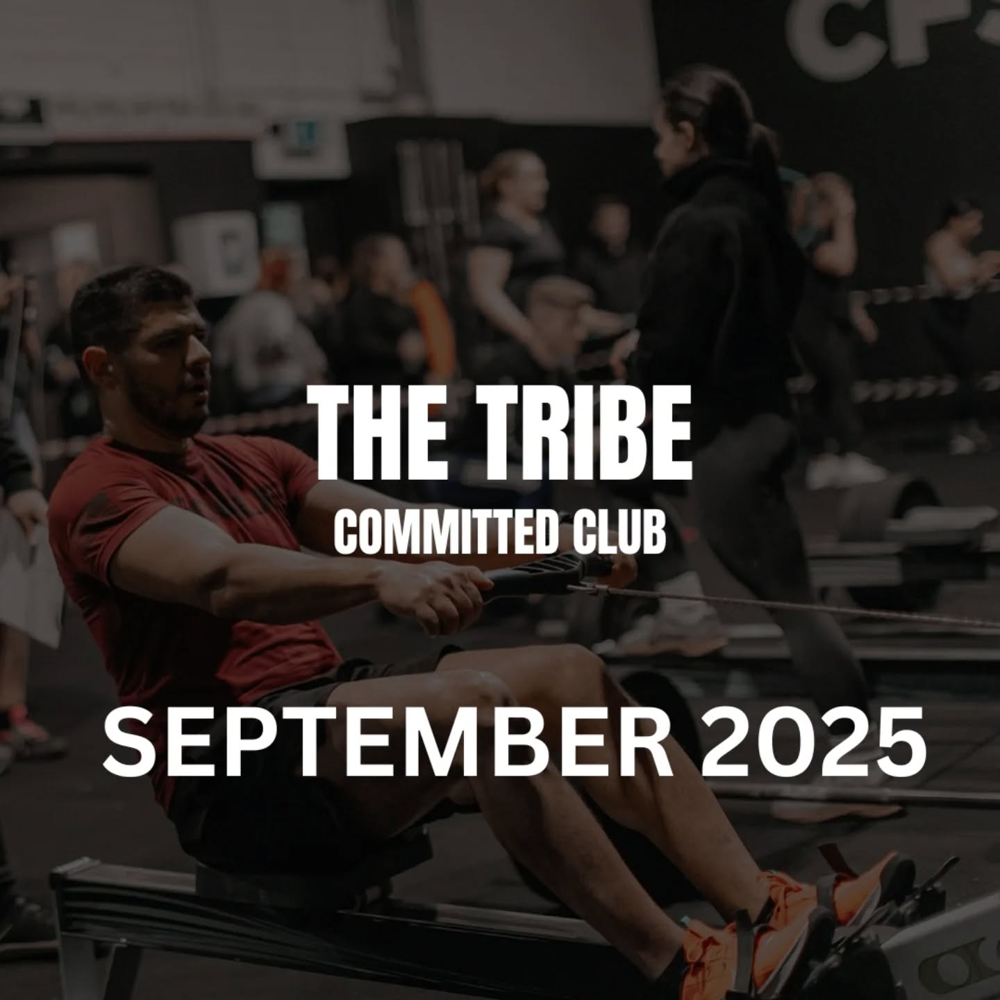 🏋♂️ COMMITTED CLUB 💪
Well done to these Tribe legends who smashed 15 sessions or more this month!
We love to see our members commit to their training and reap the rewards of their efforts
Stay tuned for this lost every month from now, and watch our top Attendees pick up their stickers, small gift, and fisrbumps every month 🖤💪
_____________________________________
Want to try a Tribe gym this week?
We've two great gyms in Dublin
📍CFD Tribe, Drumcondra, D03 RH36
📍CrossFit Santry, D09 X63C
Drop us a DM with the words 'FREE Trial' to get booked in 📩
#thetribe #thecoachinggym #cfstribe #Tribe #santry #dublin #Drumcondra #gym ##committedclub #community