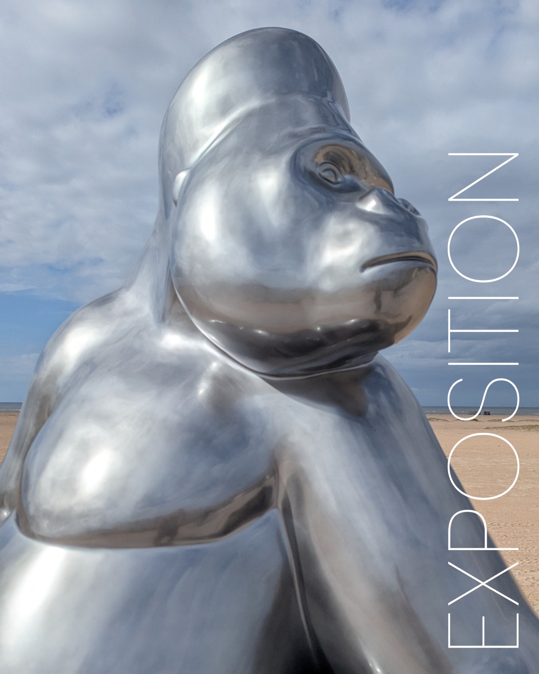 "L'art pour le vivant"
Donner un regard à ceux qu'on doit protéger.
Plus que quelques semaines pour découvrir les œuvres de Michel BASSOMPIERRE sur la Promenade de la Paix à Ouistreham et devant l'Abbaye-aux-Hommes à Caen.
#gorilla #caen #caenlamer #exposition #sculptureartist #bronze #sculptures