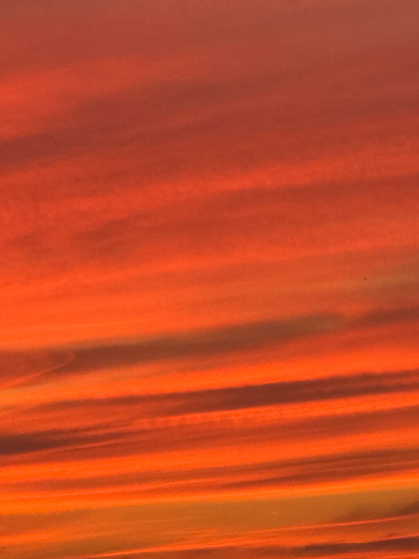 For anyone having a rough day, remember the beauty around us. I love to enjoy it in the sky.
#maryanyc #maryatriandafellos #digitalart #publicart #nofilter