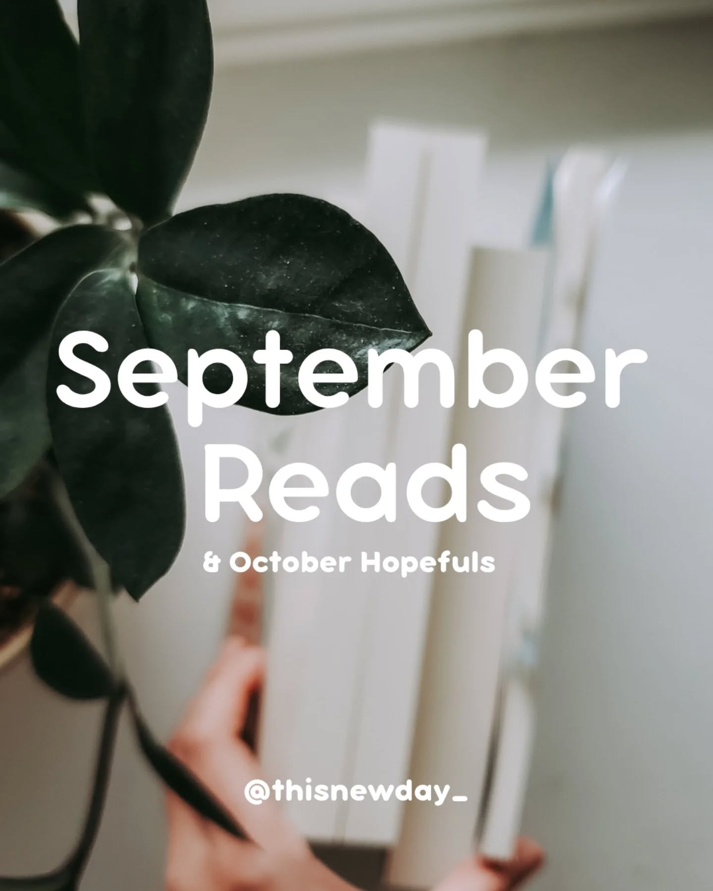 👏🏽 September Reads & October Hopefuls 👏🏽
** Full book reviews for each of the books I read so far this year can be found in my 2025 highlight.
⭐ Five Stars:
• Pride and Prejudice by Jane Austen
⭐ Four Stars:
• Anne of Ingleside by L.M. Montgomery
• All That Really Matters by Nicole Deese
• Theo of Golden by Allen Levi
• A Song in the Dark by Kimberley Wood House
• Secrets of the Revolution by Megan Soja
⭐ Three Stars:
• The Right Kind of Fool by Sarah Loudin Thomas
➡️ What was your favorite read in September?
.
#septemberreads #christianfiction #booksforwomen #bookstagram #fivestarreads