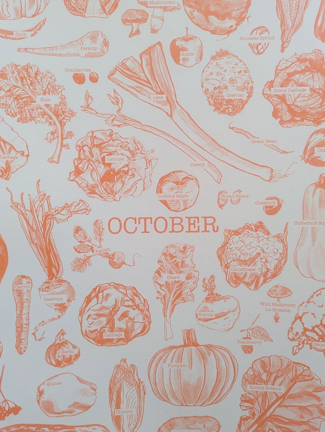 🍂 Hello October 🍂
Autumn is here and so is a whole new season of nourishing, comforting foods. Eating with the seasons means fresher flavours, more nutrients, and supporting local growers too.
Here’s what’s in season this month in the UK:
apples, pears, plums, blackberries, damsons, quince, pumpkins, squash, beetroot, carrots, celeriac, parsnips, swede, turnips, kale, cavolo nero, spinach, chard, leeks, broccoli, cauliflower, cabbage, Brussels sprouts, mushrooms, onions, garlic, potatoes 🥦🍎🥔
What’s your favourite autumn ingredient? 👇