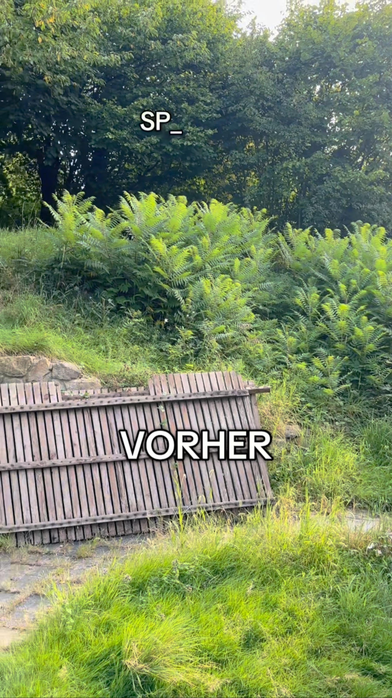 Rodung fürs Bauprojekt 🌳✂️
Im Video seht ihr den Vorher-Nachher-Vergleich – Platz für Handwerker, Kran & Co. geschaffen. 💪🚧.#keepitclean #immobilien #hausmeisterservice #gartenarbeit #handwerk