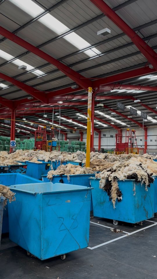 Feature on BBC News 🐑
British Wool celebrated their 75th birthday last week. To celebrate, they held open days at their depots across the country. We had the pleasure of attending the event at their depot in Bradford, also known as the wool capital of the world.
It was lovely to meet so many like-minded British wool lovers. A special shout out to Patrick Grant.
🎥: BBC News
