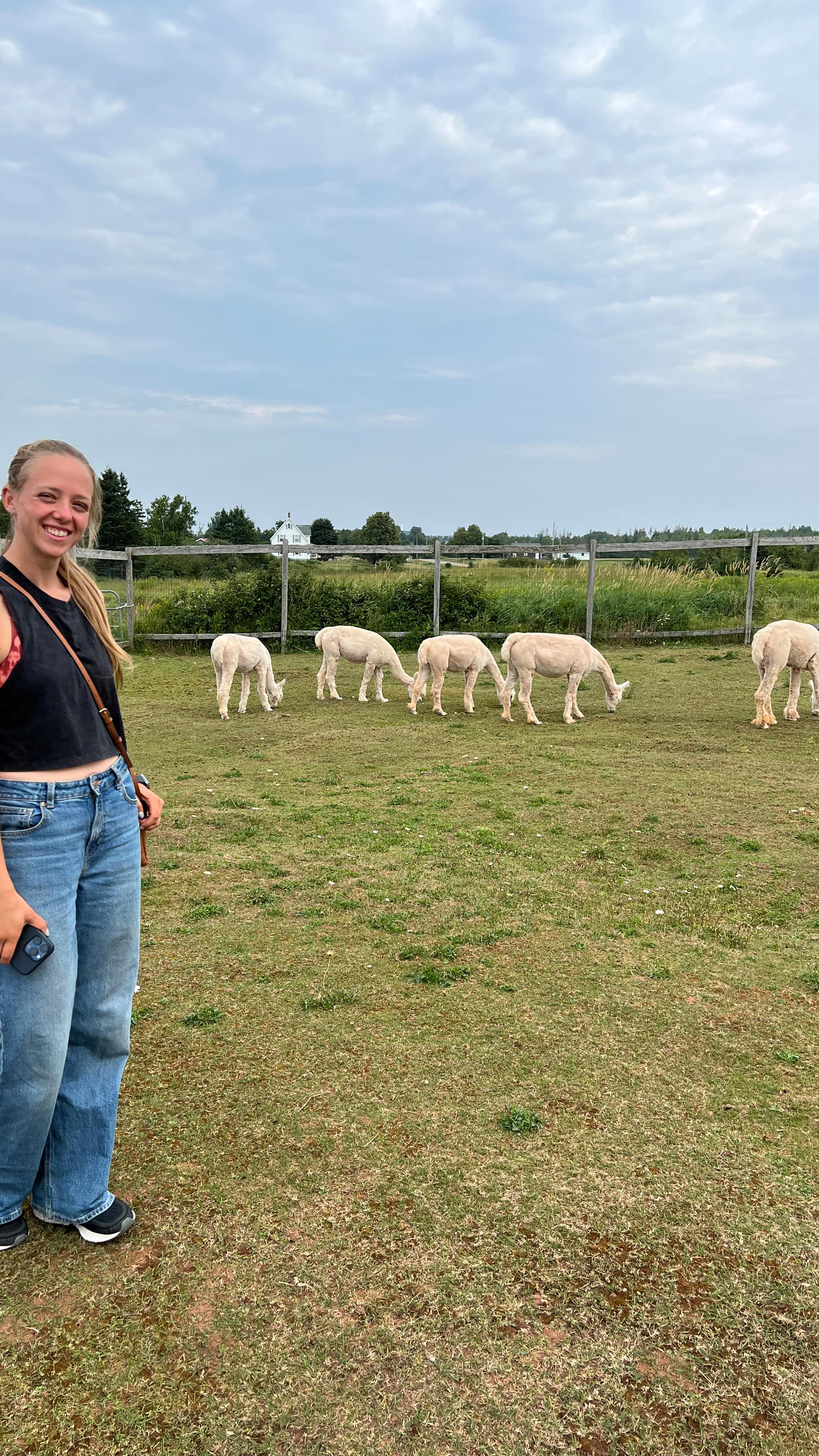 Rencontre de très près avec une trentaine d’alpagas cet été pendant notre voyage à l’Ile-Du-Prince-Édouard 🦙
On recommande vivement la visite de cette ferme à tout le monde 🤩
#alpaca #alpacasoftiktok #farmlife #princeedwardisland #ileduprinceedouard