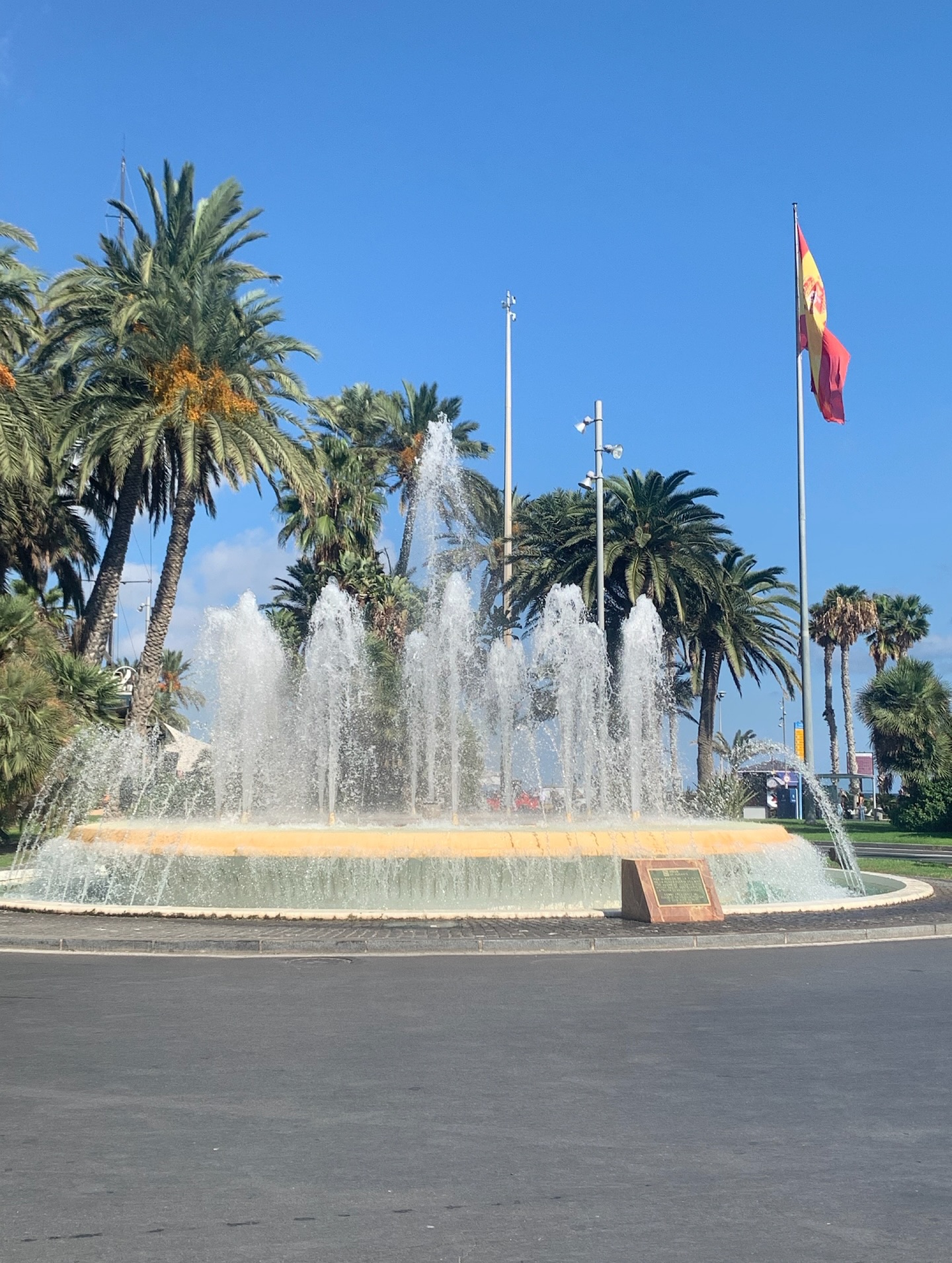 Alicante
Op slechts een uurtje rijden kan je de prachtige stad Alicante bezoeken.
Zeker en vast een bezoekje waard als je ook wat cultuur wilt opsnuiven tijdens je verblijf in Casa Lita.
De beste plekjes en parkeergelegenheden vind je in onze infobrochure die steeds tot jullie beschikking is.
#Alicante #CultuurSnuiven #PrachtigeStad